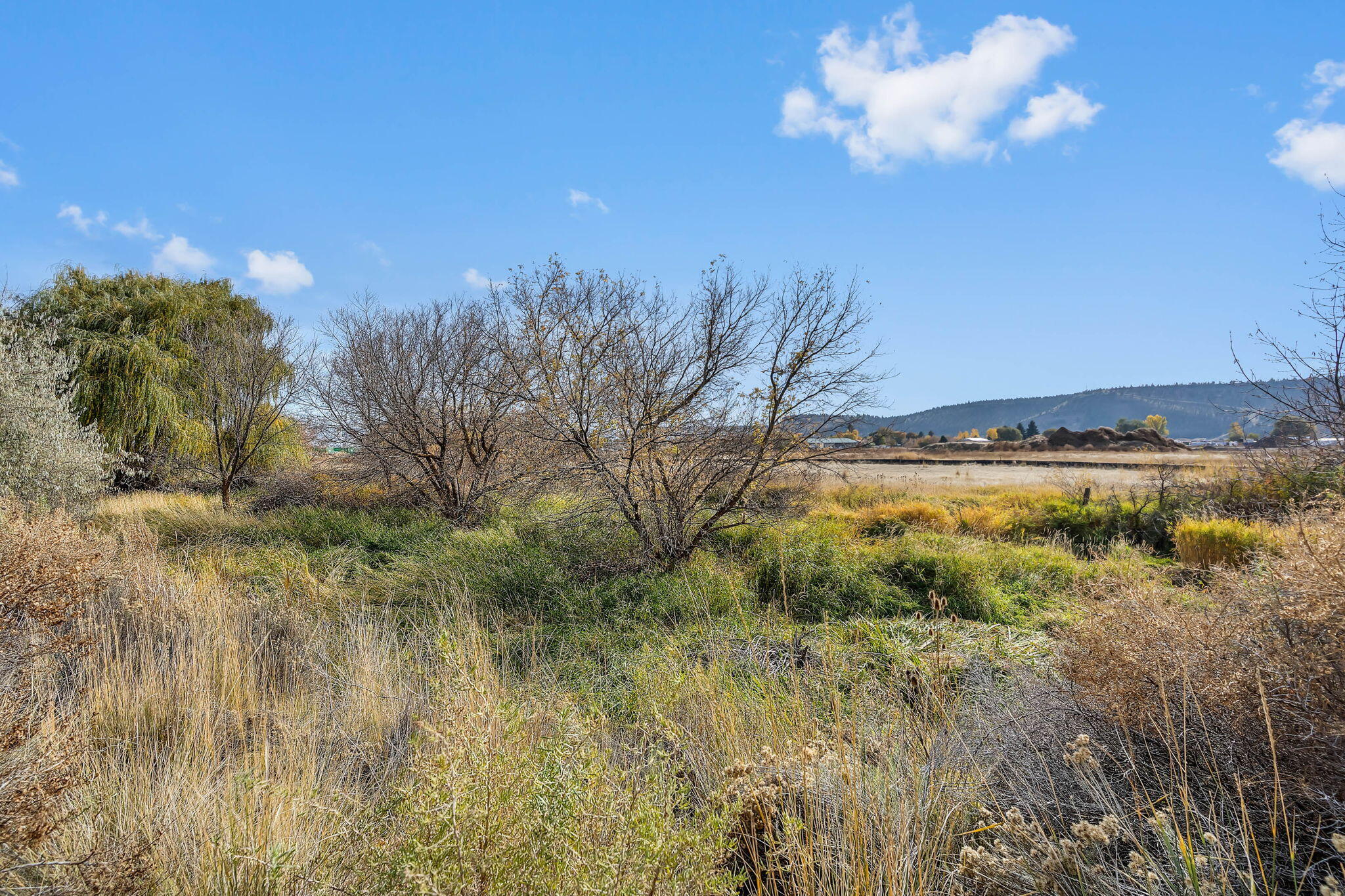 Industrial Park - Commercial Sale