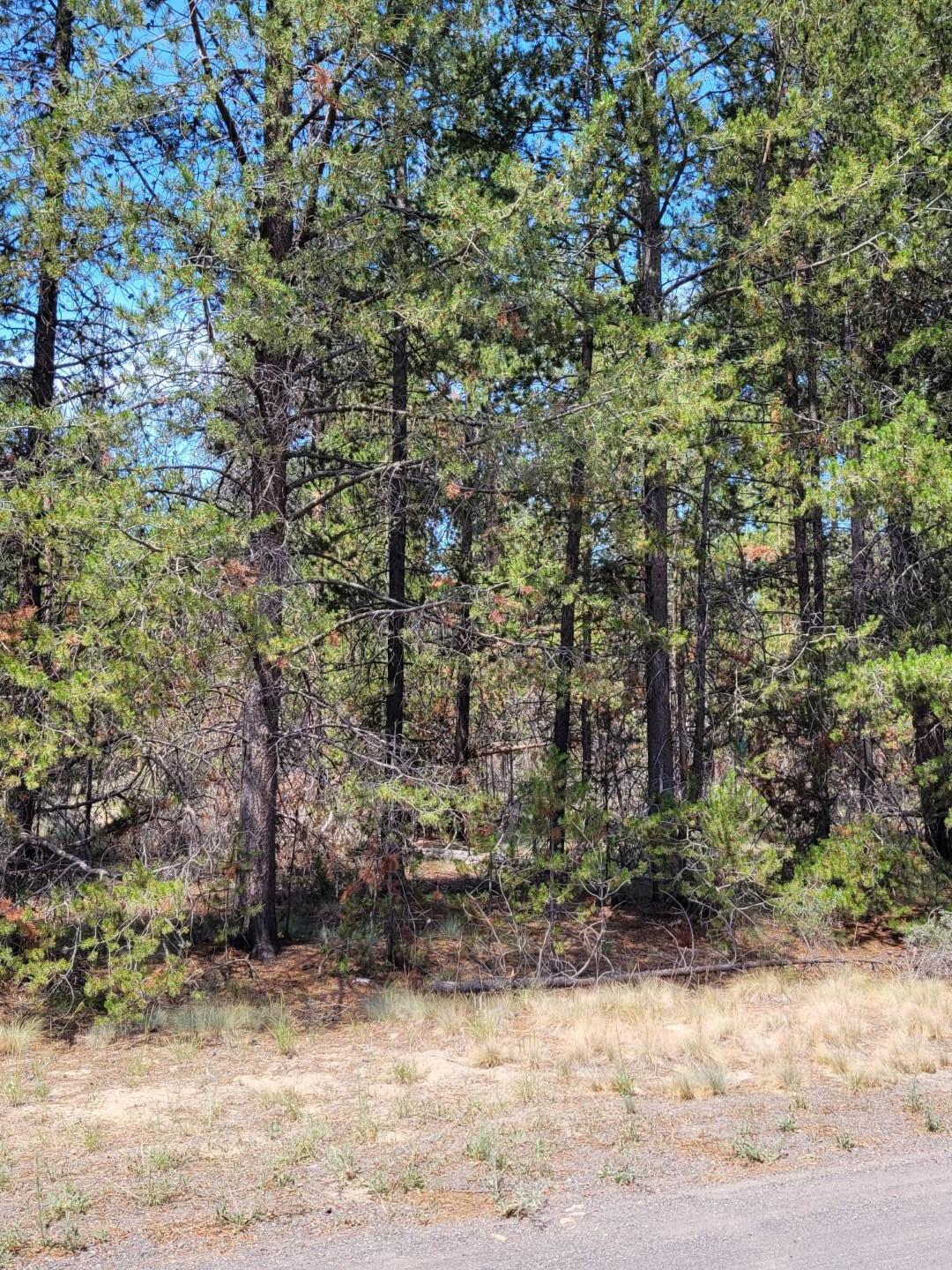 Woodland Park - Land