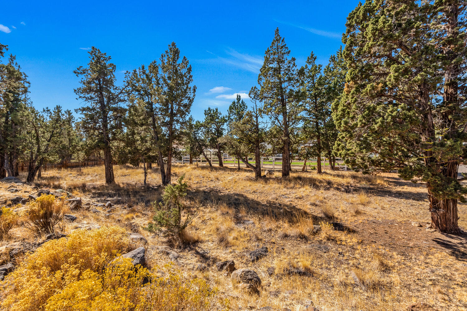 Squaw Creek Canyon - Residential