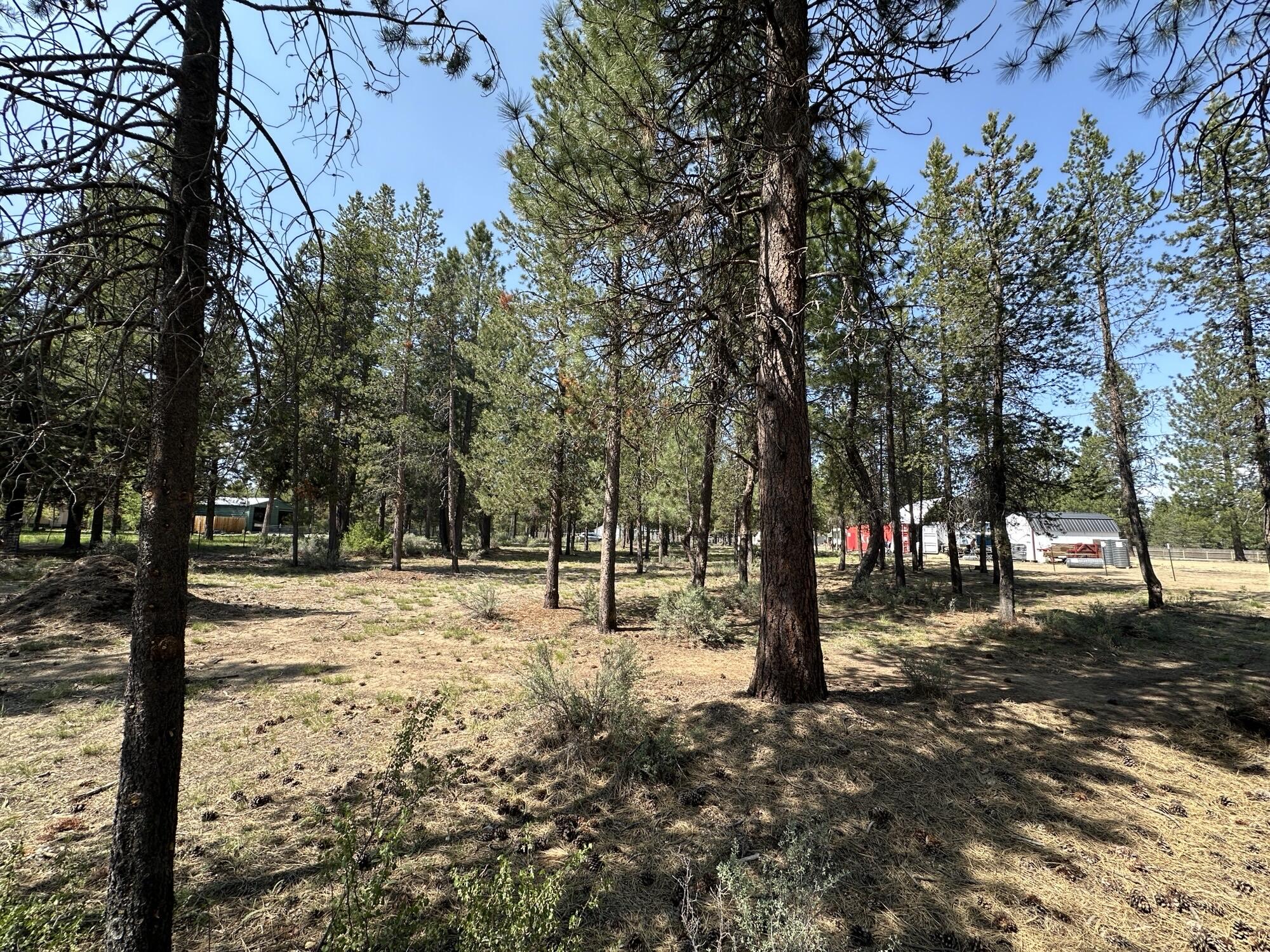 Deschutes River Recreation Homesites - Land