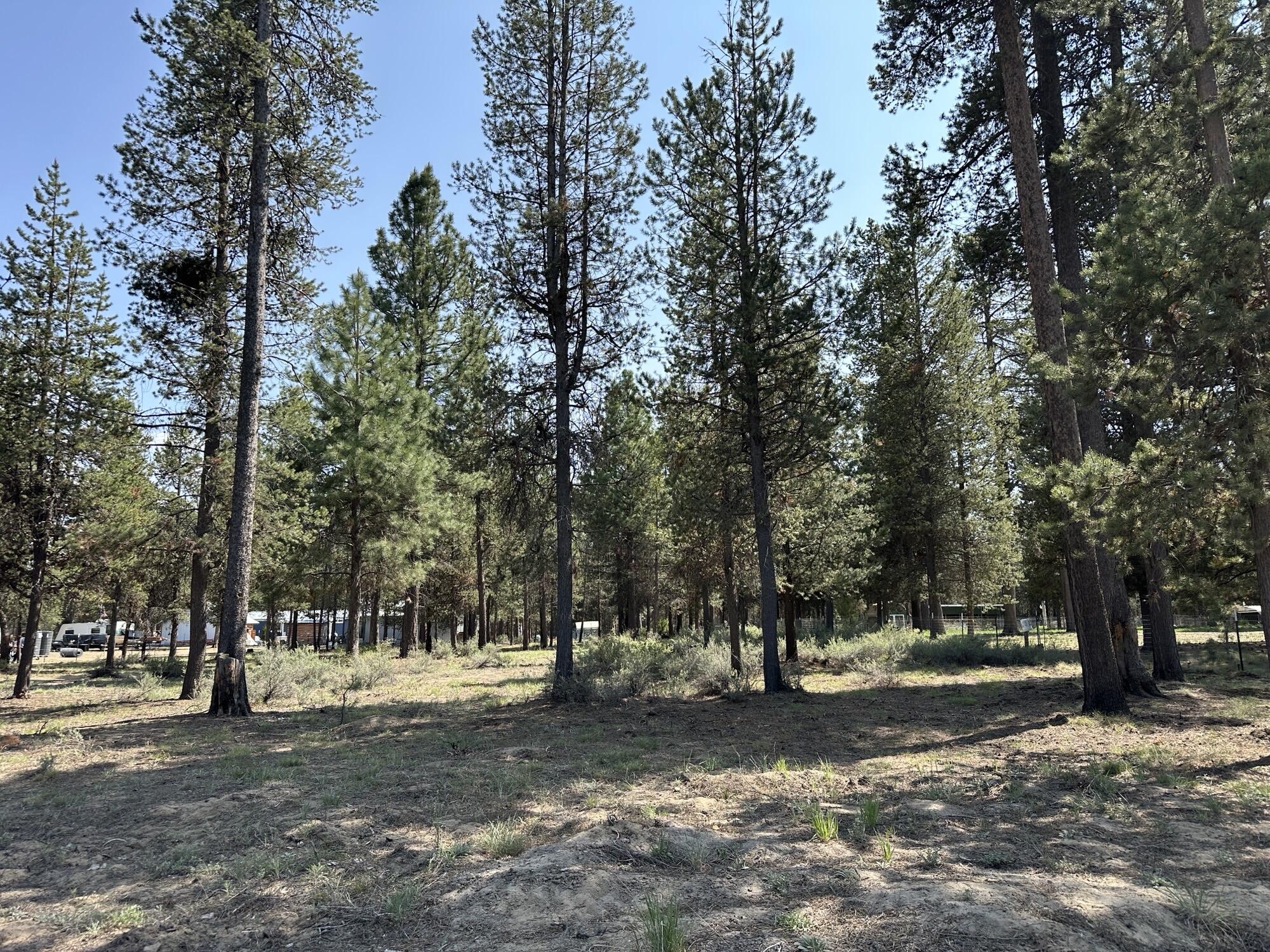 Deschutes River Recreation Homesites - Land