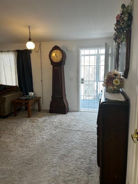 Rogue Willow Estates - Residential