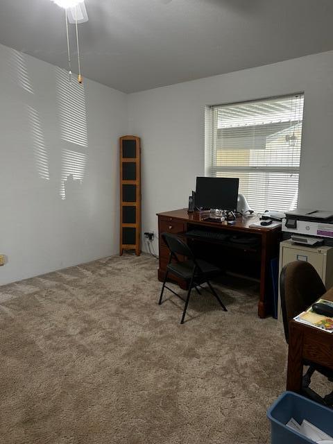 Rogue Willow Estates - Residential