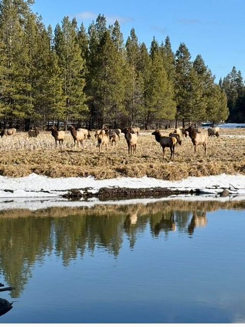 Tiny photo for 56532 Eclipse Drive, Bend, OR 97707 (MLS # 220215226)