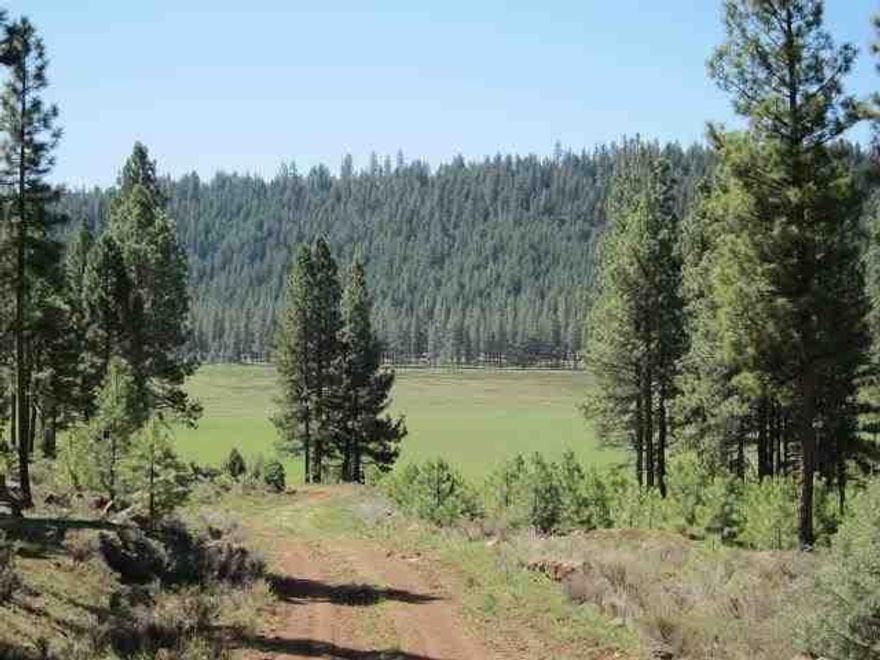 Unique Terrain Of Pine, Cedar And Fir Thickly Populate This High Ridge With Awesome Views Overlooking Long Lake, Klamath Lake And The Running Y Farm & Resort. A Mix Of Ponderosa, Doug And White Fir, And Incense Cedar Make Up The Estimated 8,469mbf Of Timber. In Addition, 1,424+/- Of The Acres Are In Well-stocked Pine Plantations Of 1+-30+ Year Age Class. Good Access, Numerous Building Sites, Excellent Habitat For Elk, Deer And Abundant Wildlife, Near Mt. Lakes Wilderness Area.