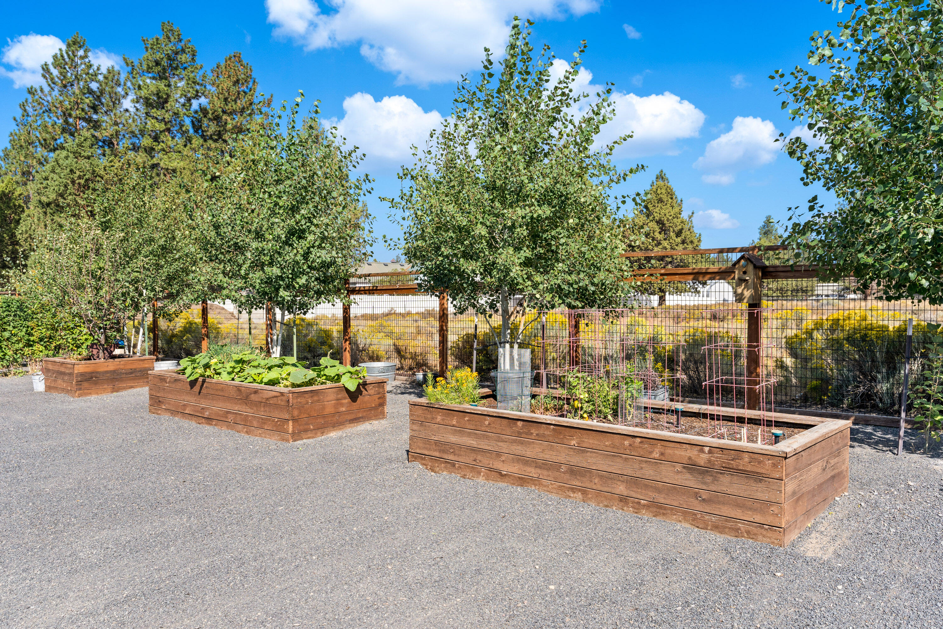 Sundance East - Residential