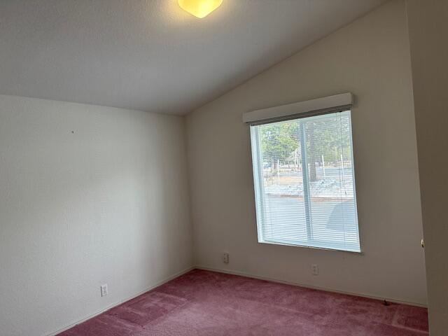 Tall Pines - Residential