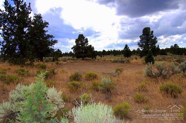 Twin Lakes Ranch - Land