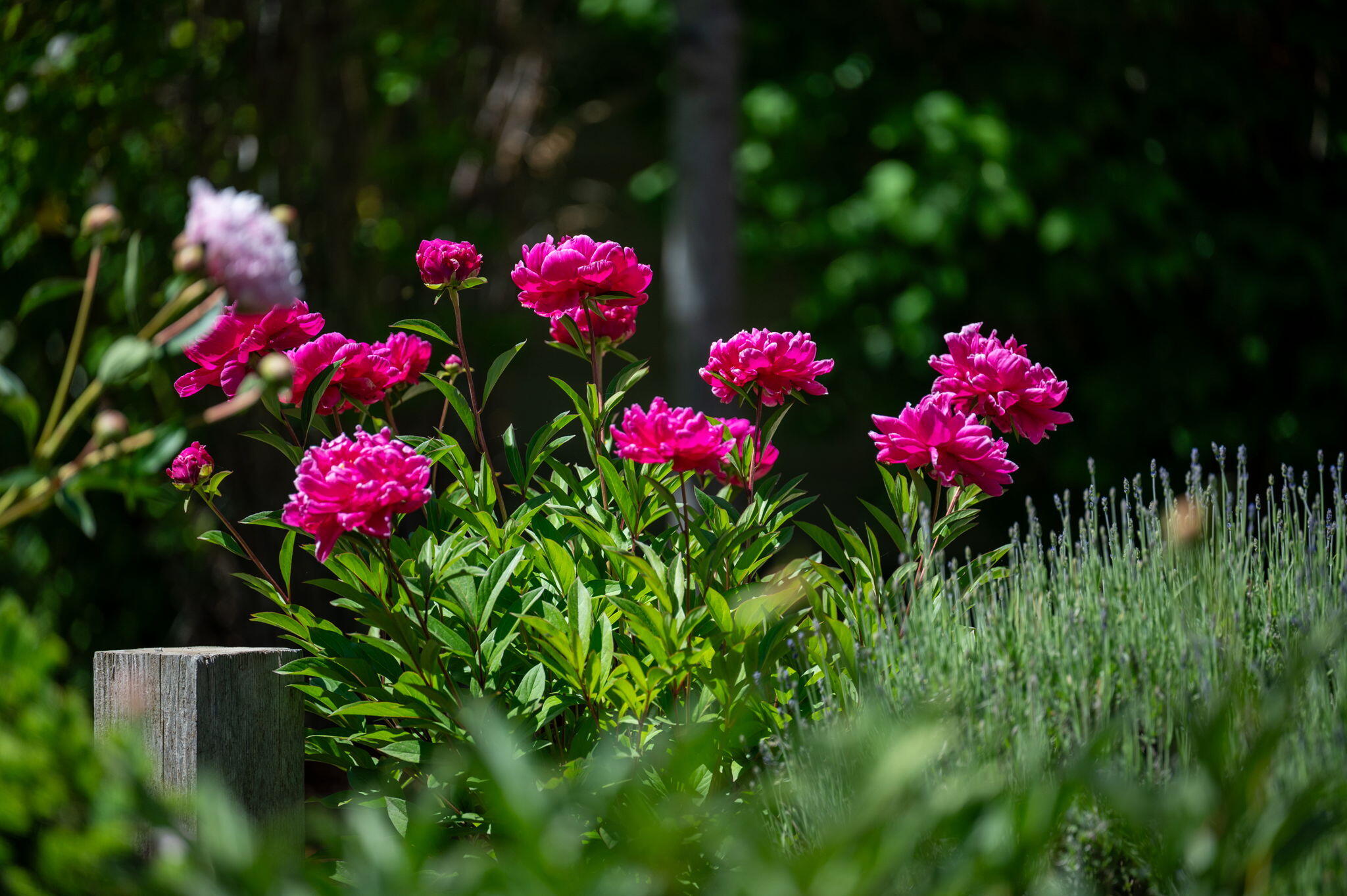 Highland Estate - Residential