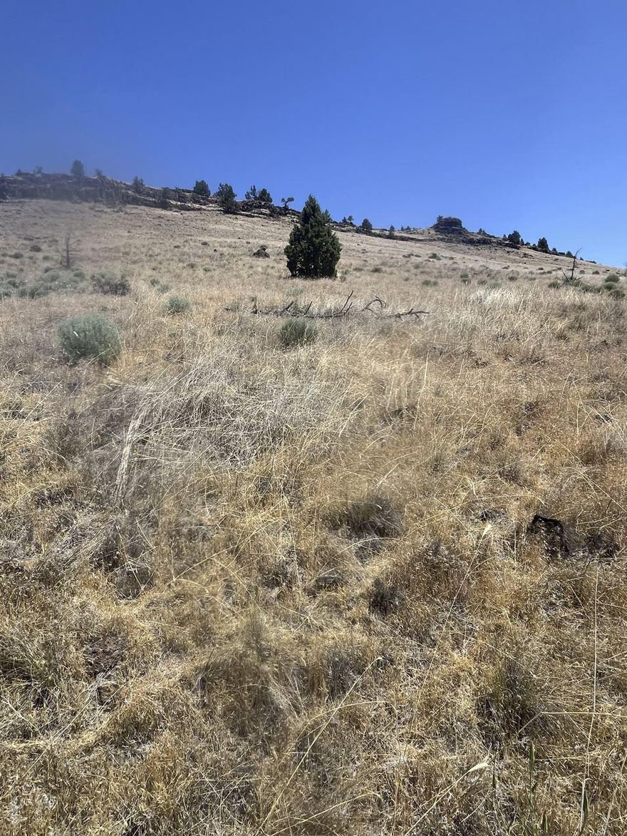 Terrific opportunity to purchase and develop a 1.96 acre hillside building lot. Location has a wonderful view of Juniper Canyon. Paved roads throughout. In quiet community minutes from Prineville.