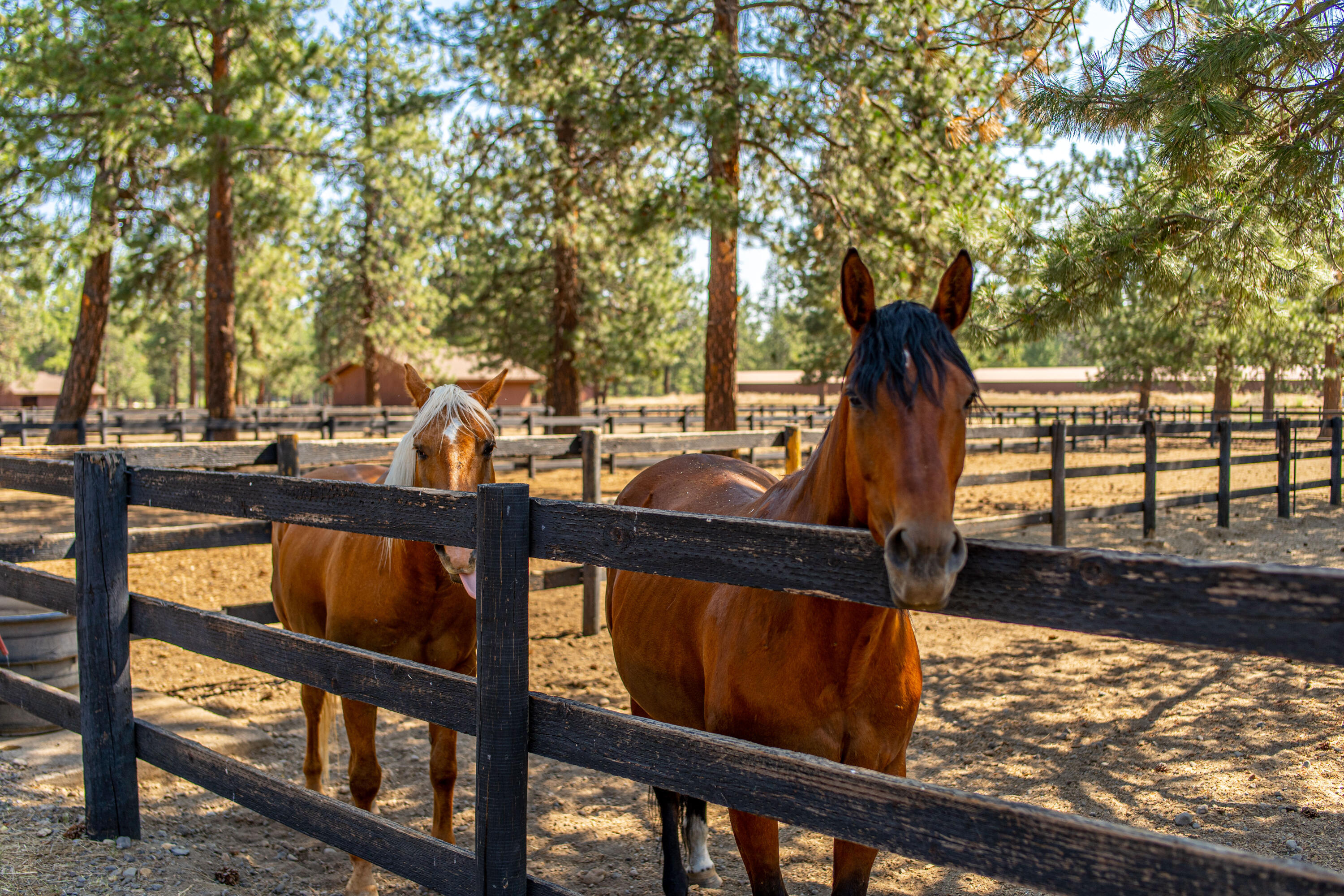 Cascade Meadow Ranch - Residential