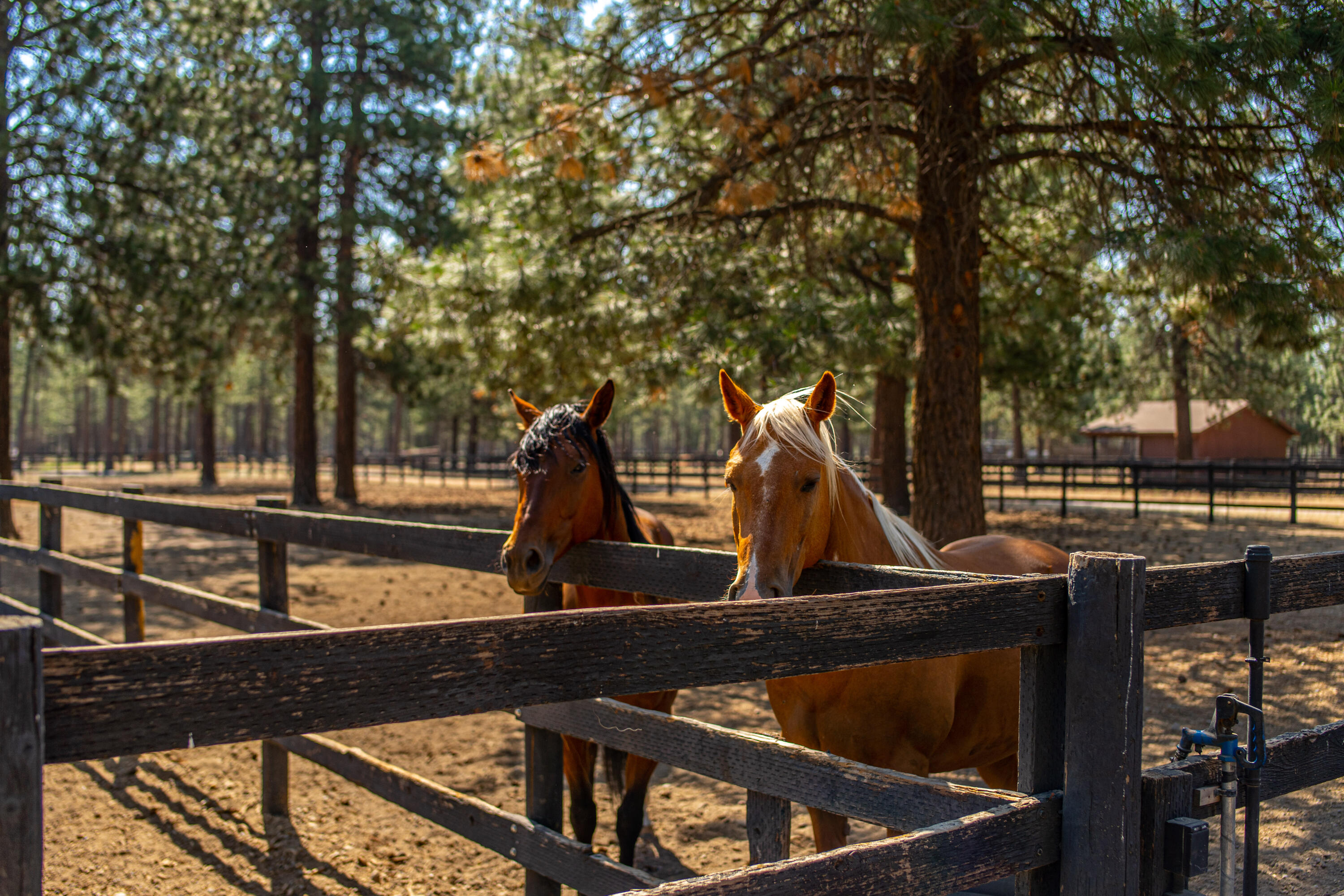 Cascade Meadow Ranch - Residential