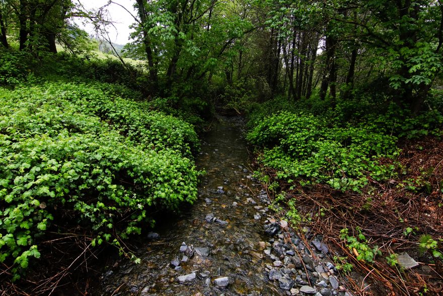 CREEK PROPERTY WITH WATER RIGHTS! Owner just added a new well! Power Ready at the street.
This is your perfect opportunity to build your dream home on this beautiful, highly sought after Wards Creek Haven. This stunning property has irrigation rights from Wards Creek.  Enjoy the mesmerizing sound of the rippling water where Boyds Creek and Wards Creek join- on your own private property.
