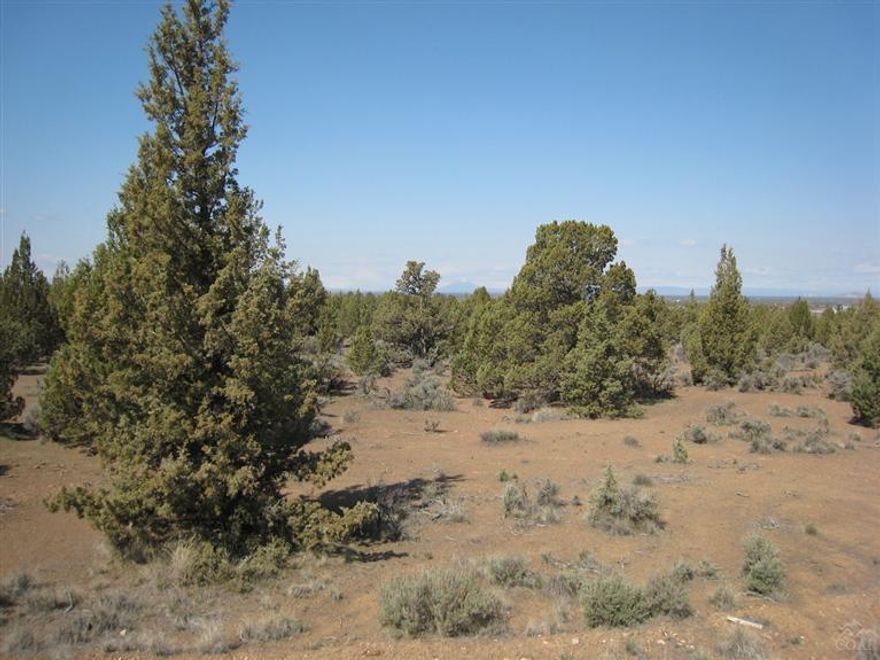 Wonderful parcel for your custom home located in desirable Powell Butte. Great views of everything from the Cascade Range to Grey Butte and beyond! Ready to build... water, septic feasibility and power at the property. Adjacent properties have well maintained homes and Joshua Court is a cul-de-sac with very little traffic! Conveniently located between Bend, Prineville & Redmond.