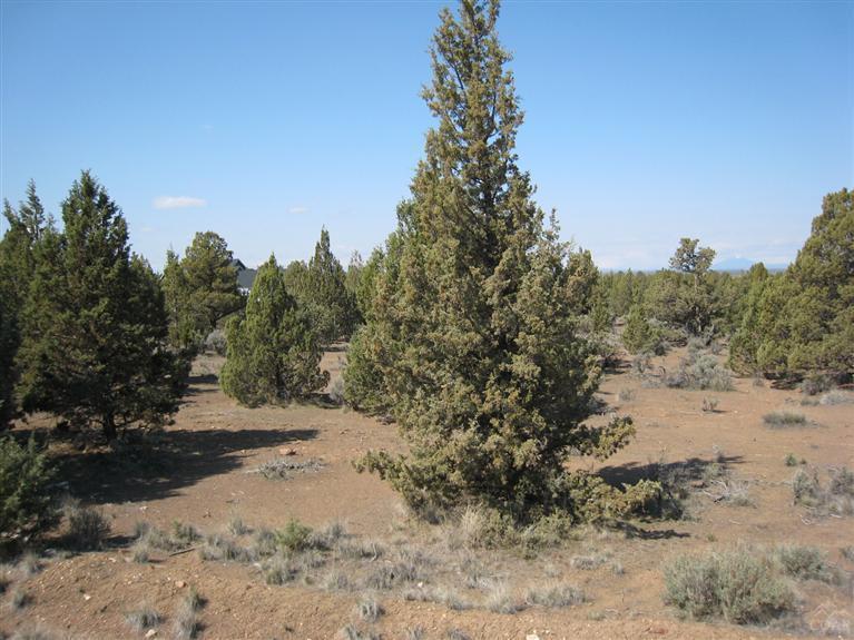 Mtn View Estate - Land