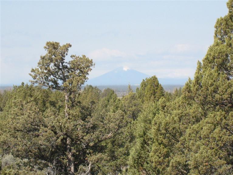 Mtn View Estate - Land