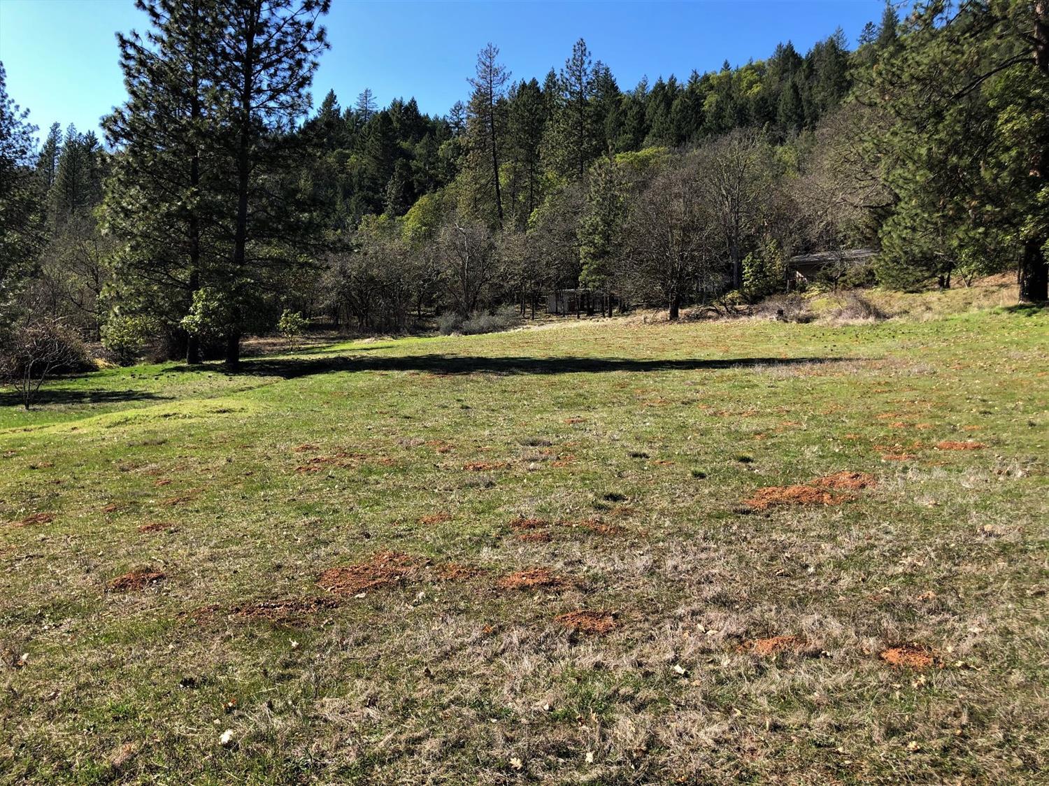 Rancho Vista Estates - Land