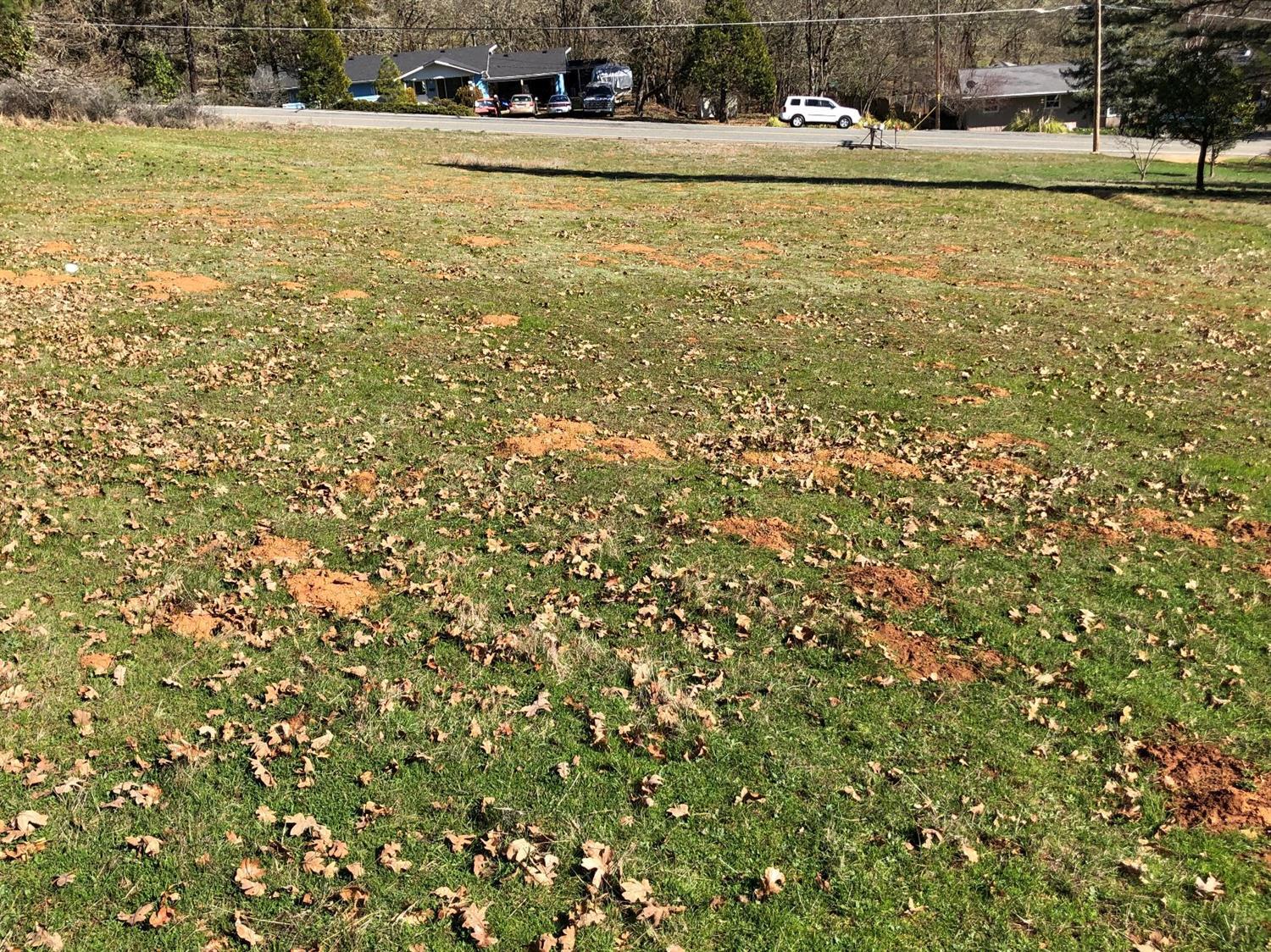 Rancho Vista Estates - Land