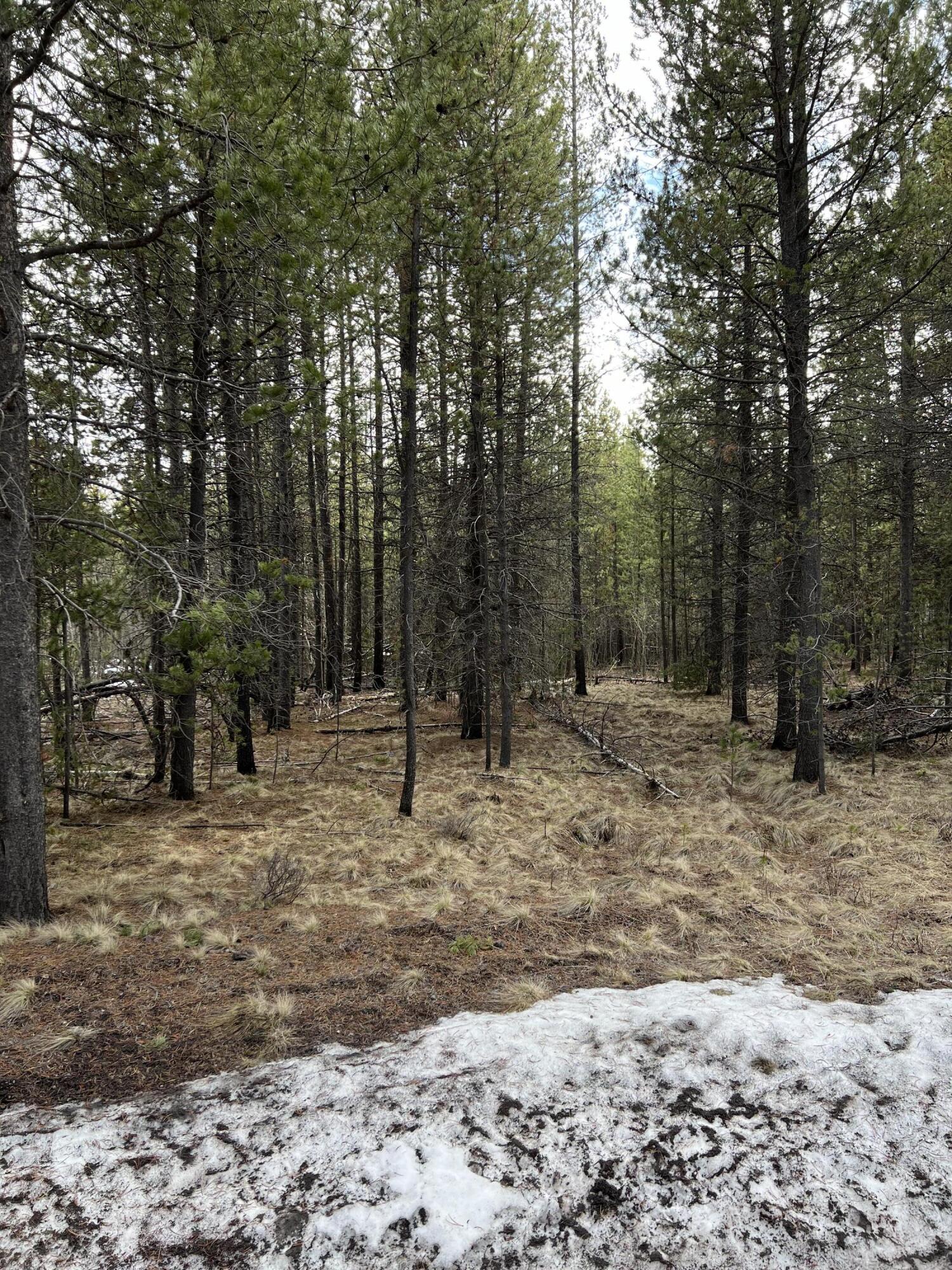 Deschutes River Recreation Homesites - Land