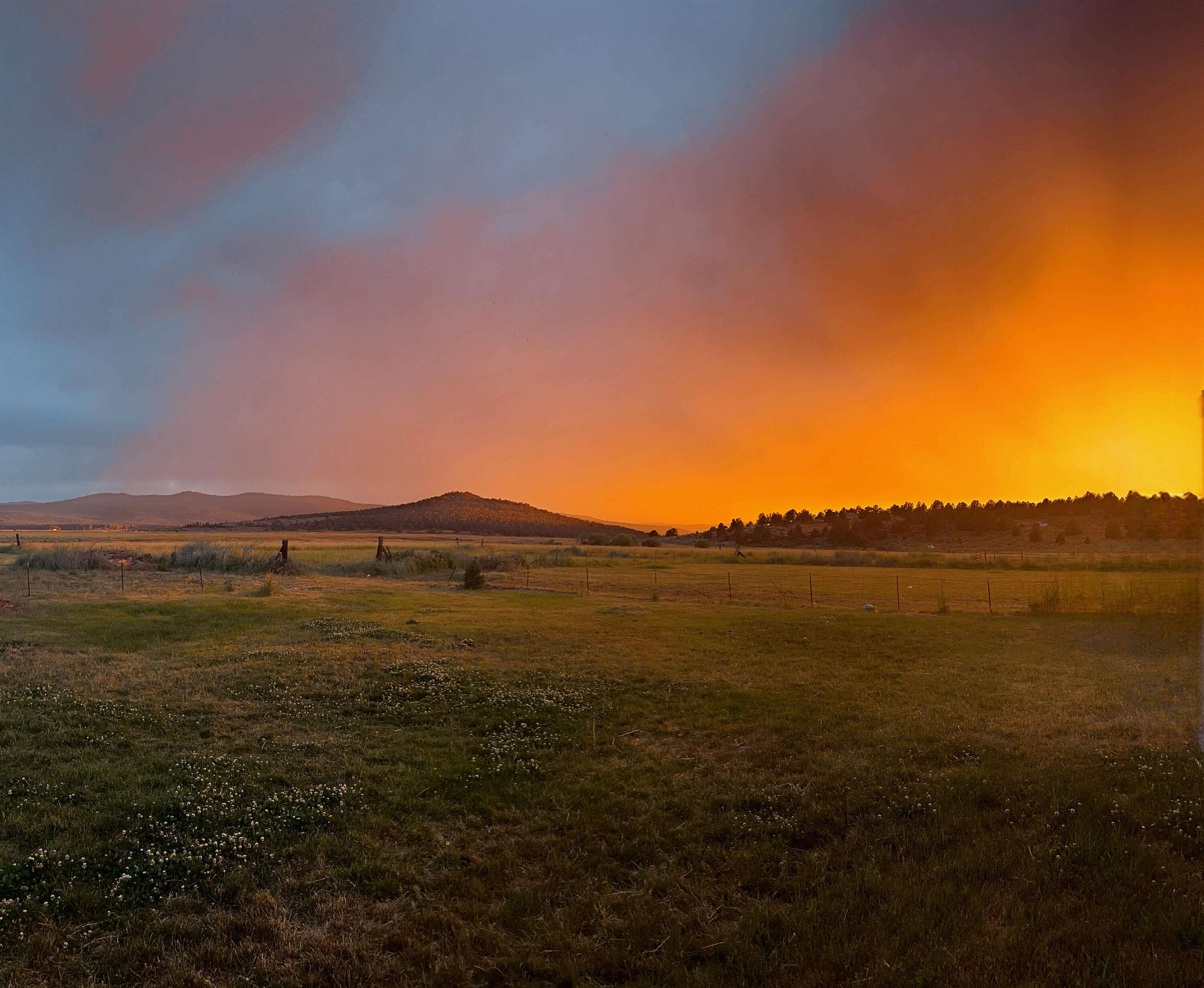 Nimrod River Park - Residential