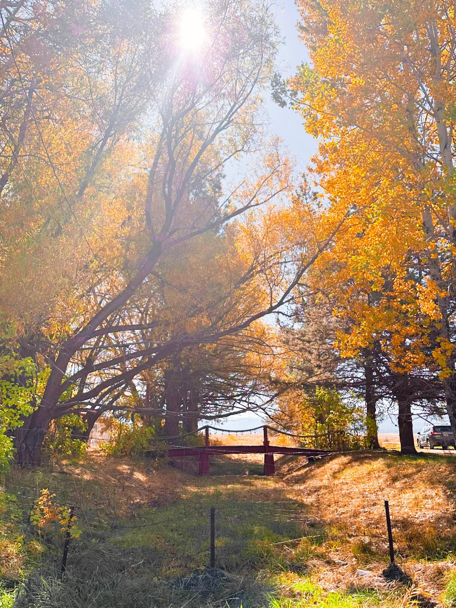 Nimrod River Park - Residential