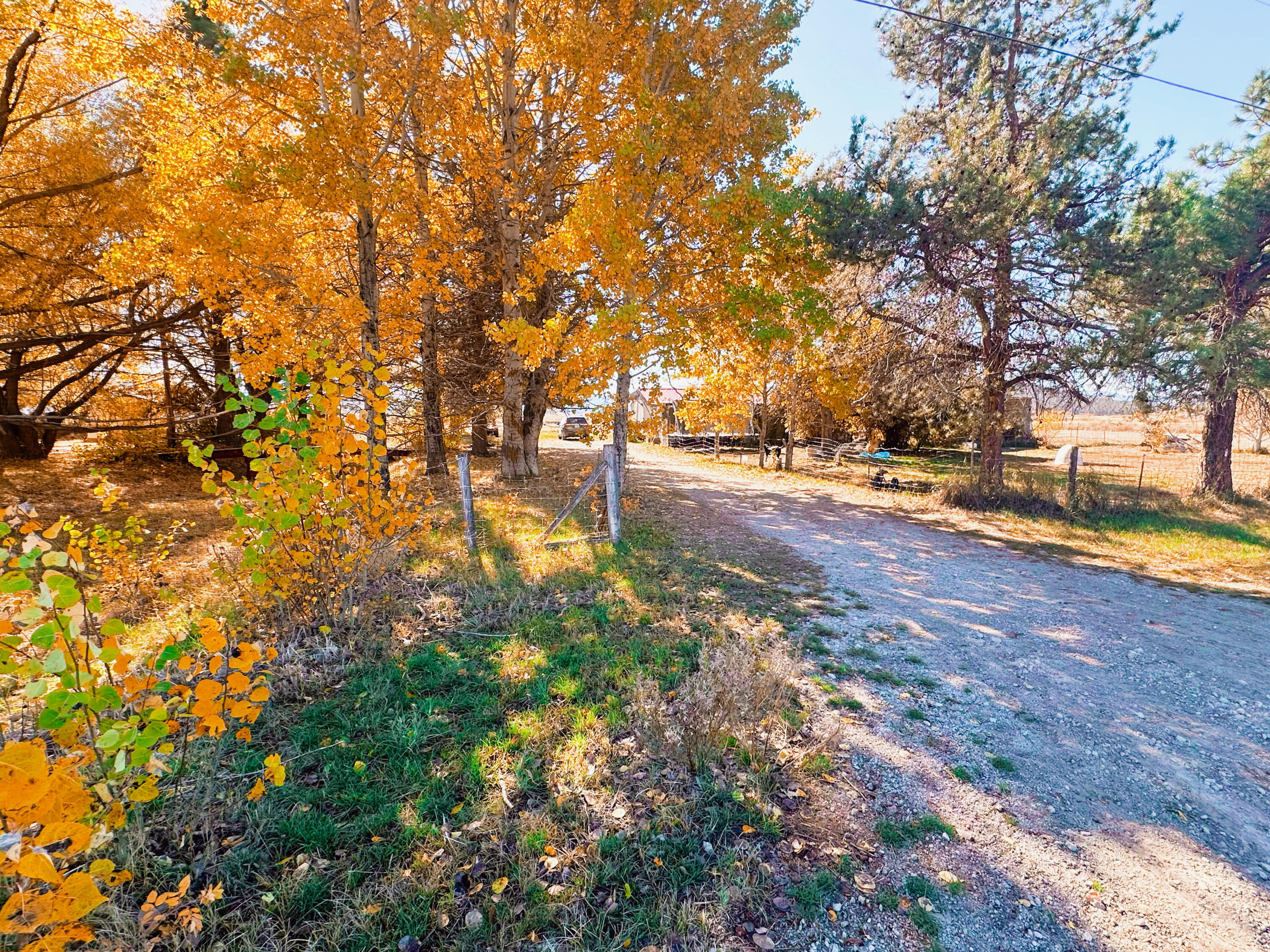 Nimrod River Park - Residential