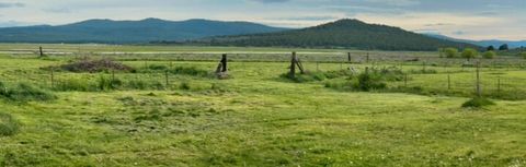 Tiny photo for 33228 Malheur Street, Sprague River, OR 97639 (MLS # 220211923)