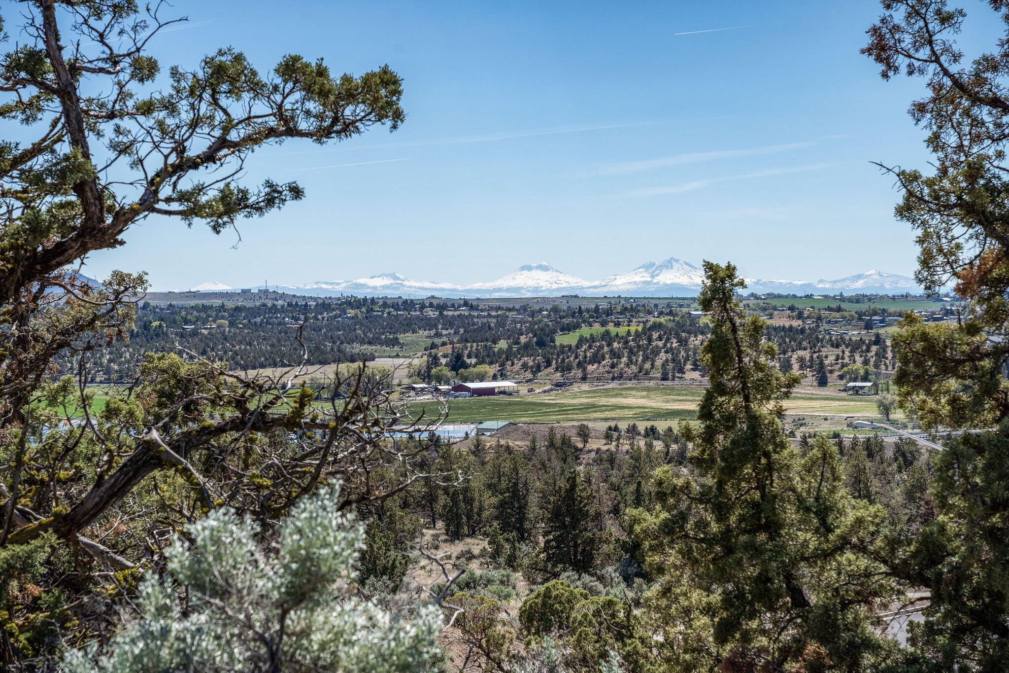 SE Manzanita Drive Lot 114