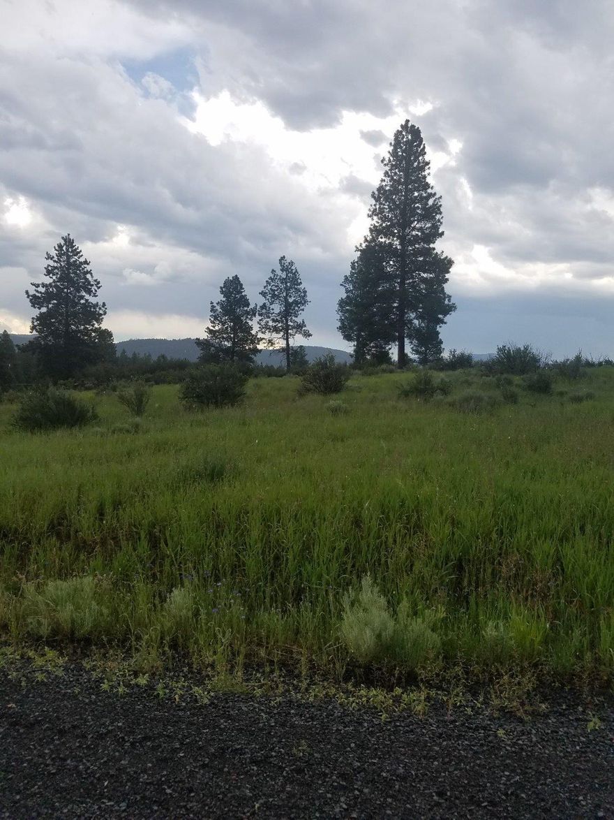 .49 of an acre in Oregon Shores unit 2. Build your home here and enjoy Agency Lake, and Mountain views. $200.00 annual fee covers community water and road maintenance. Also a private 17 acre park for use by Oregon Shores residents only.