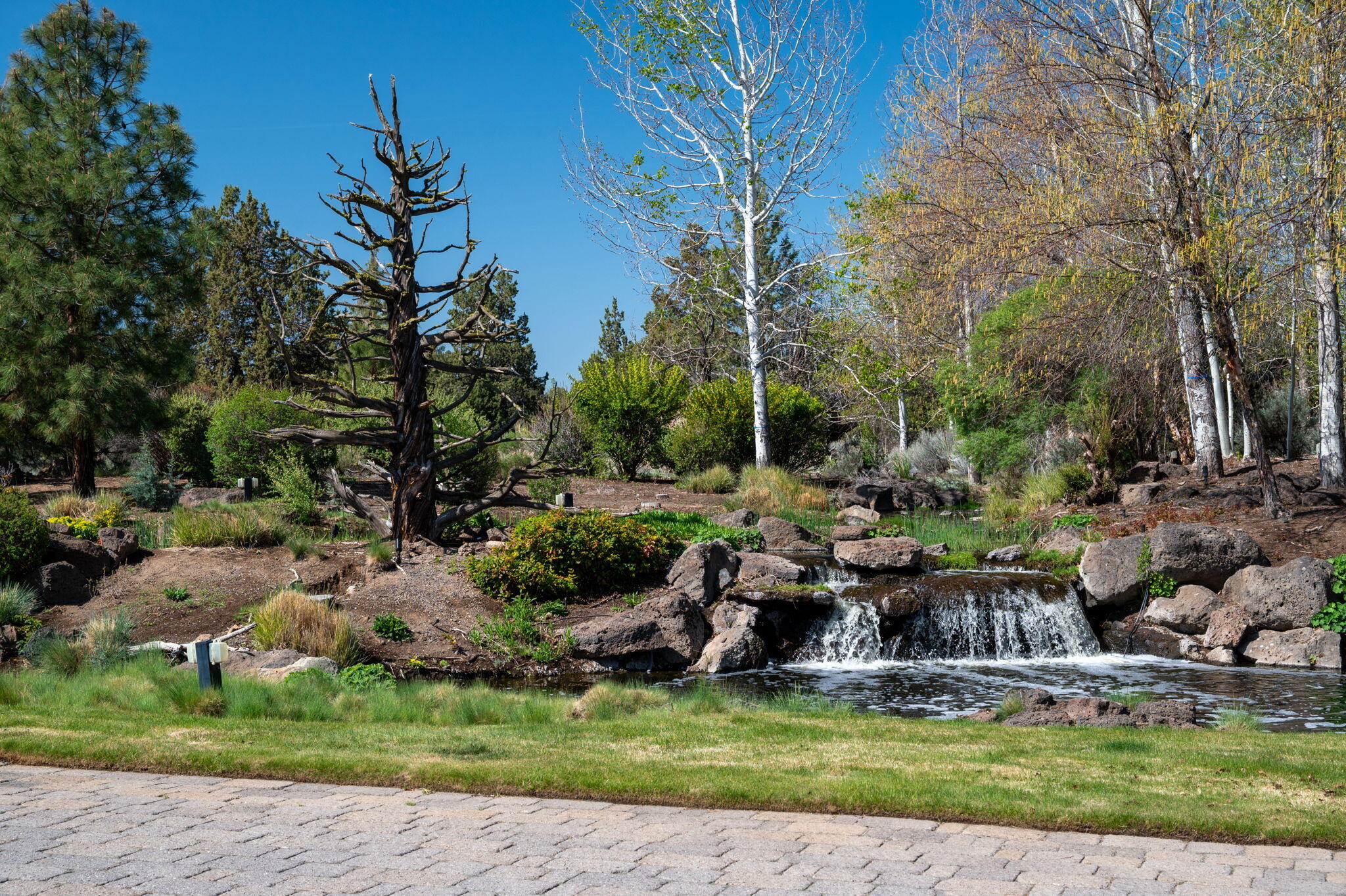 Pronghorn - Residential