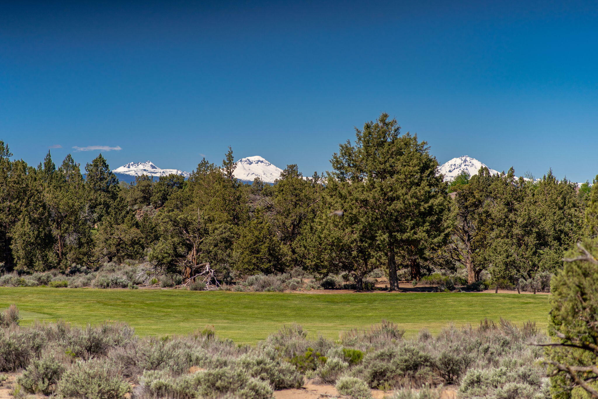 Pronghorn - Residential