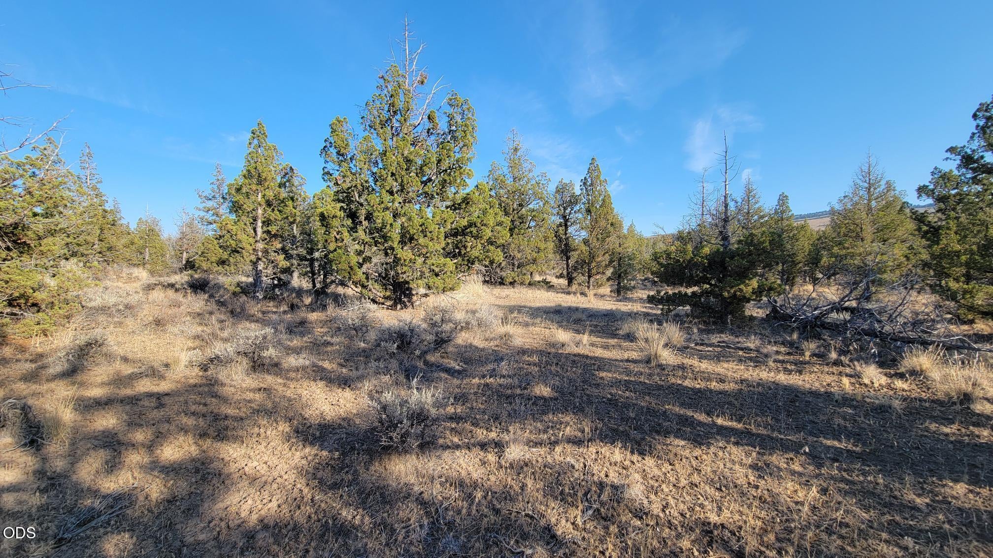 2300 SE Hickory Lane