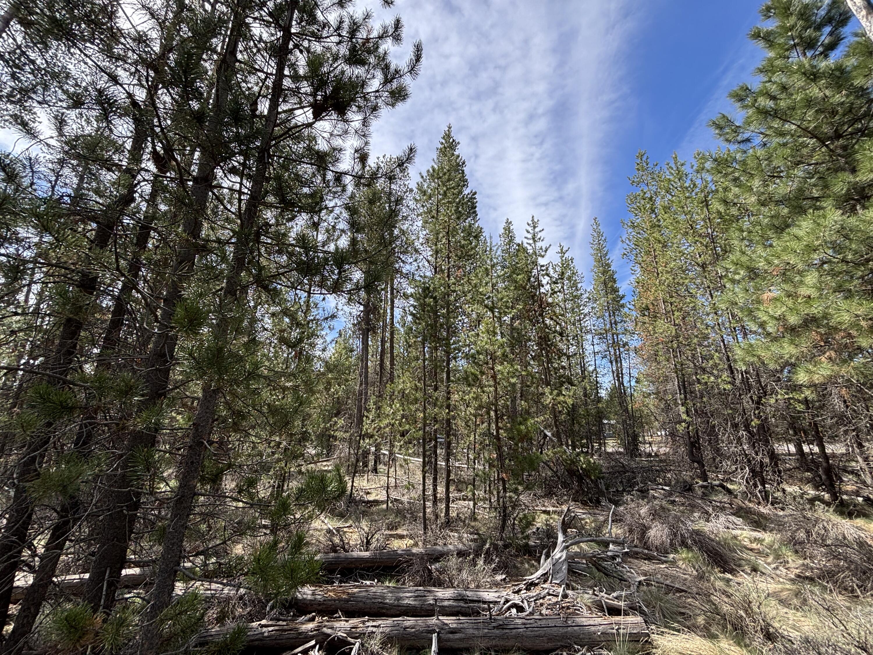 Woodland Park - Land