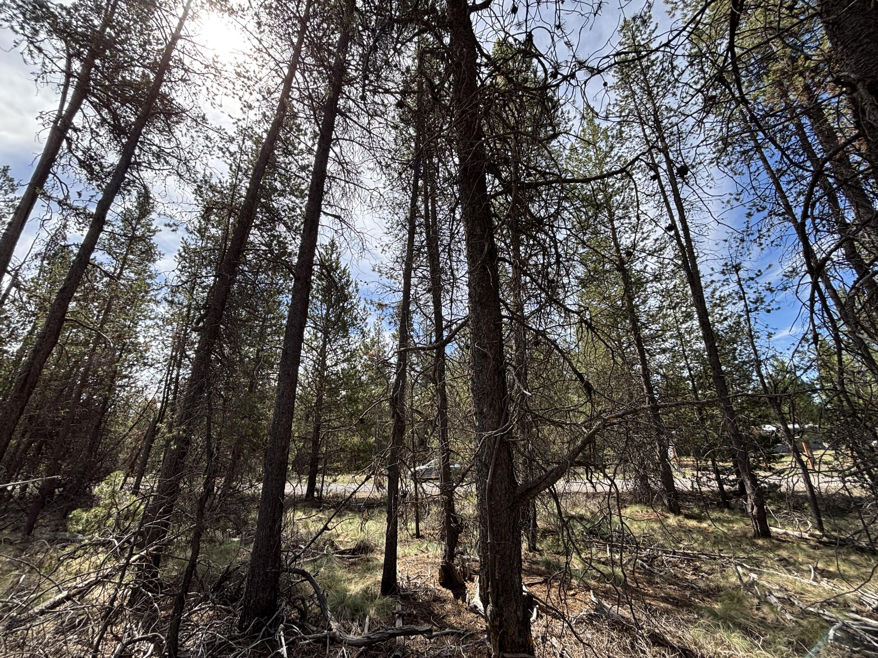 Woodland Park - Land