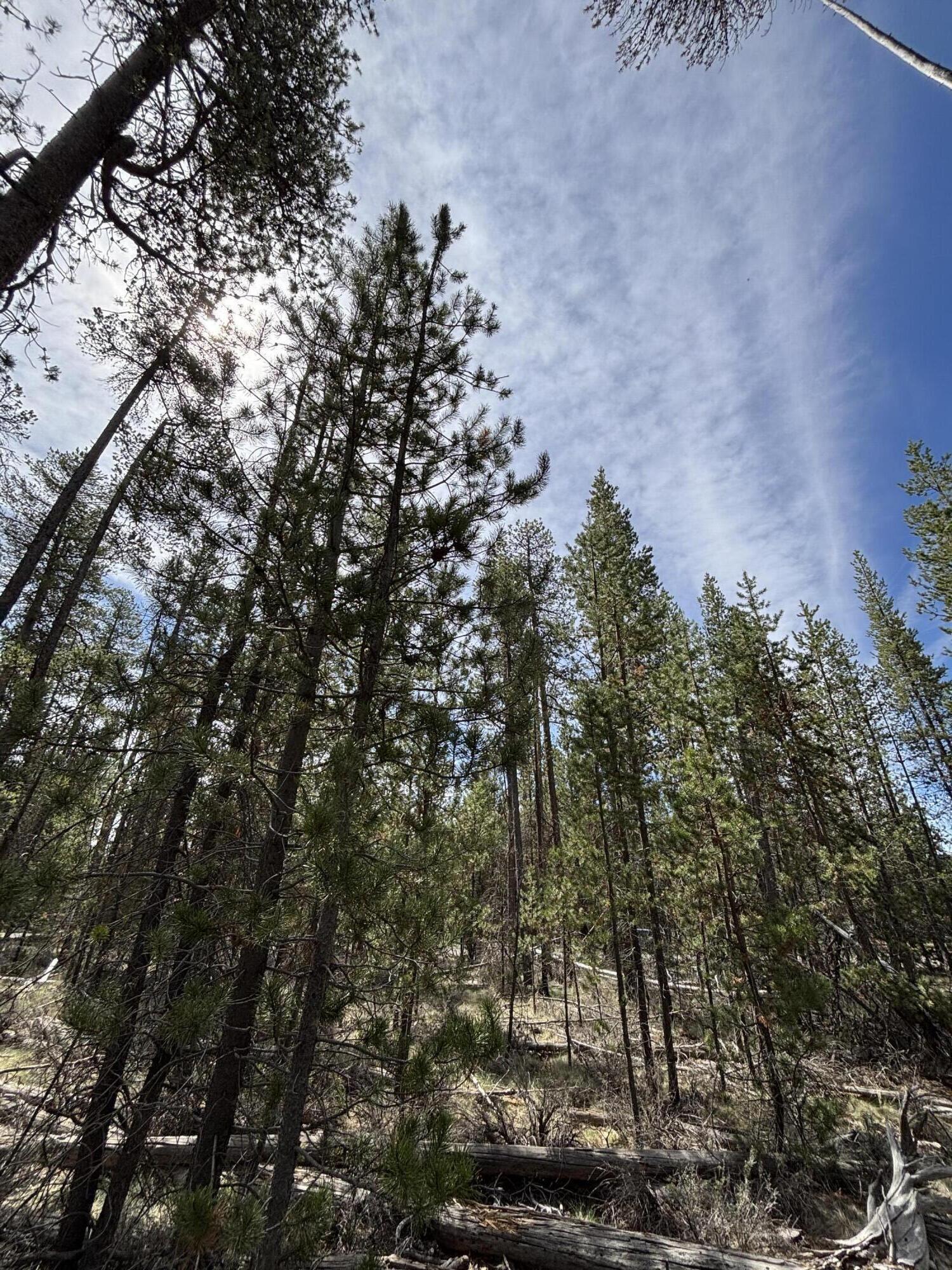 Woodland Park - Land