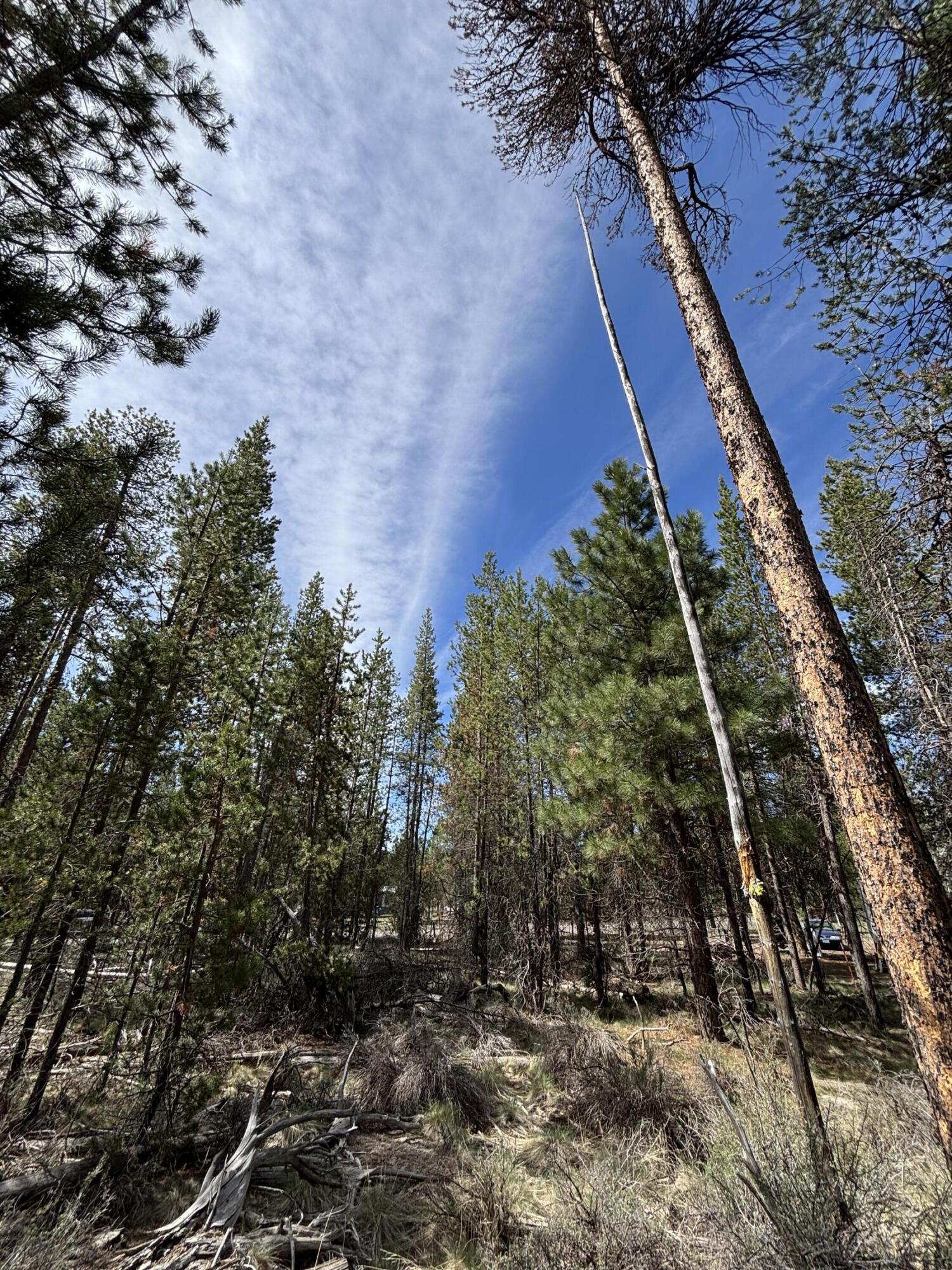 Woodland Park - Land