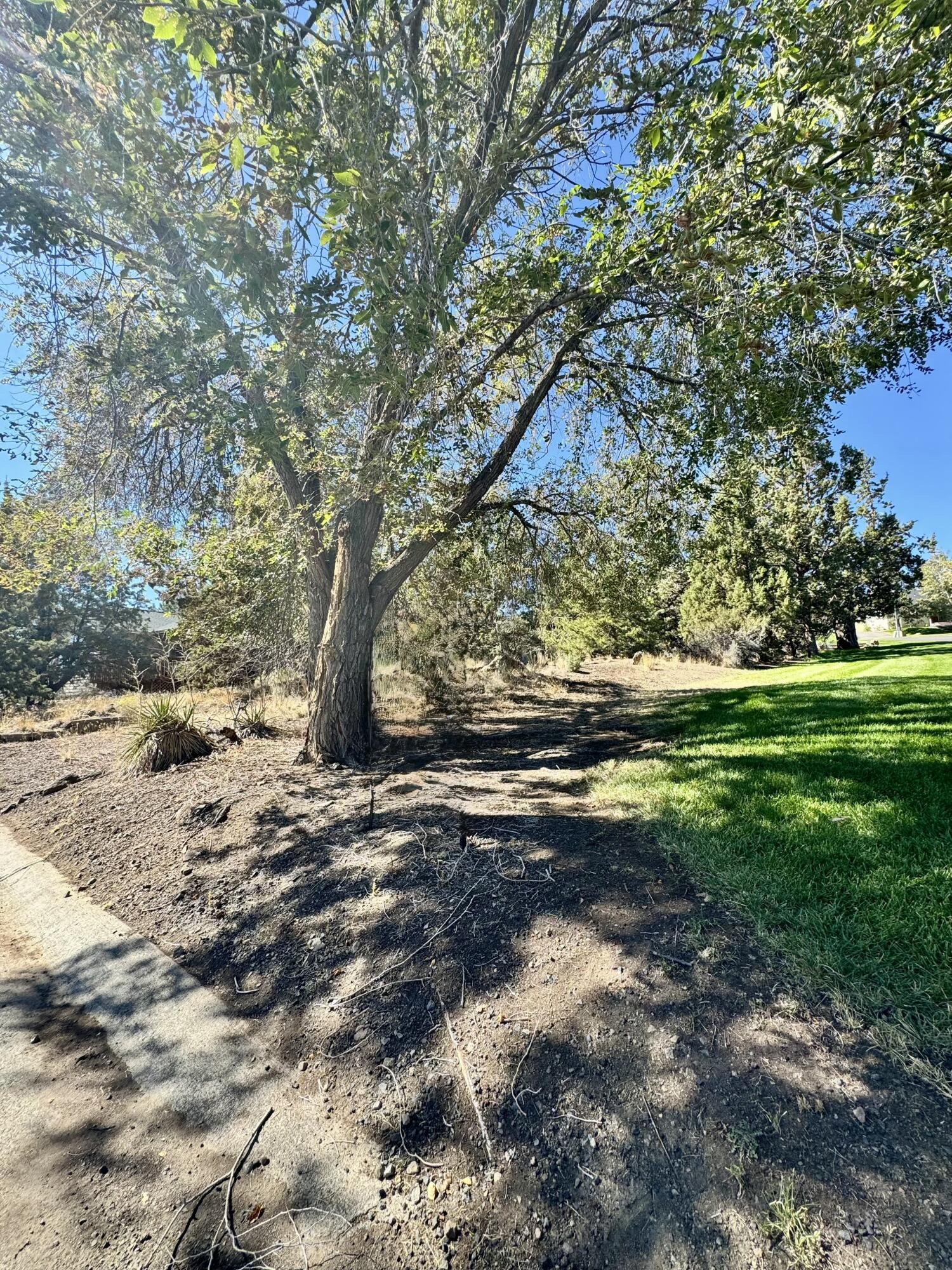 SW 34th Court Lot #62