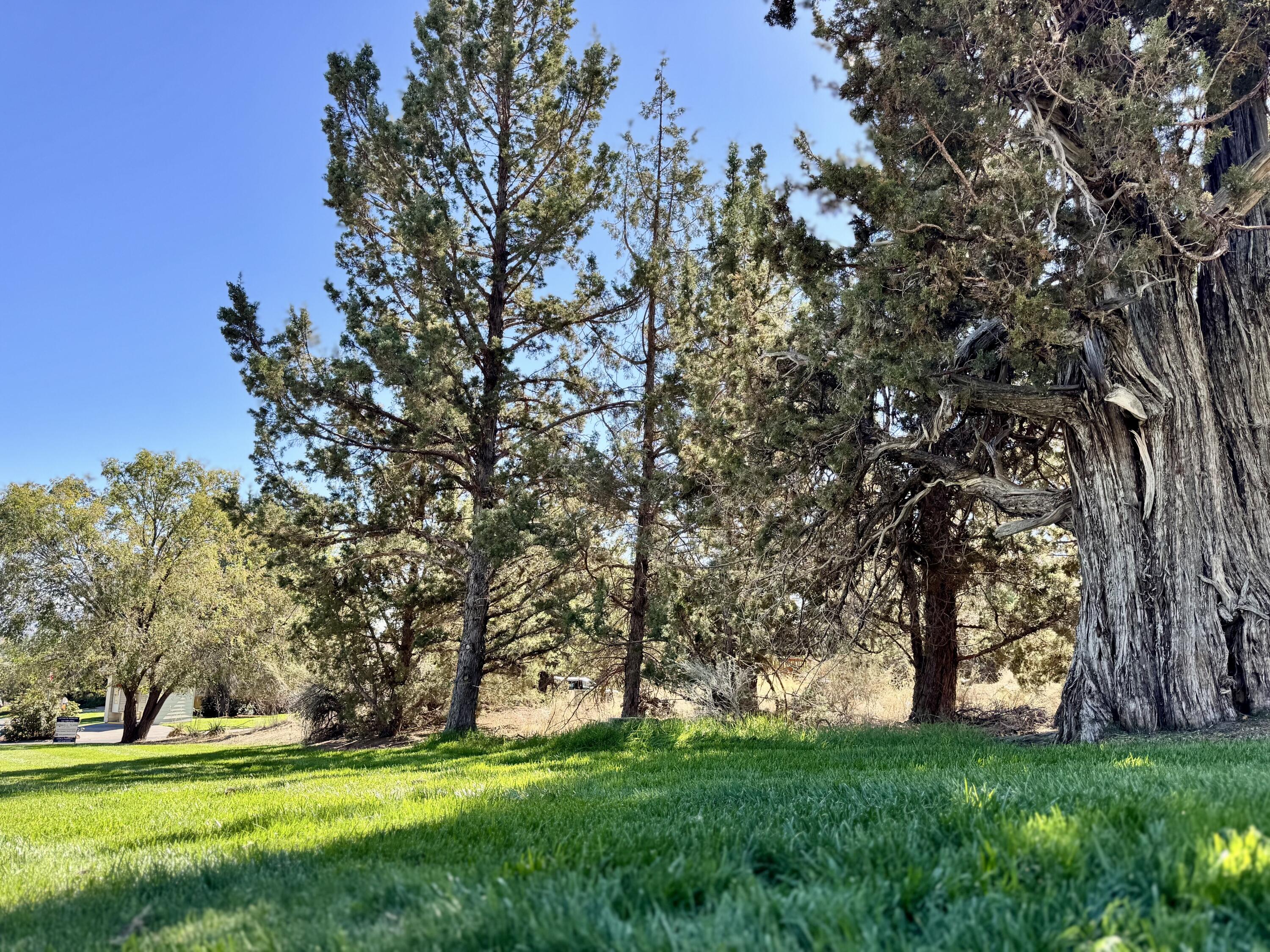 SW 34th Court Lot #62