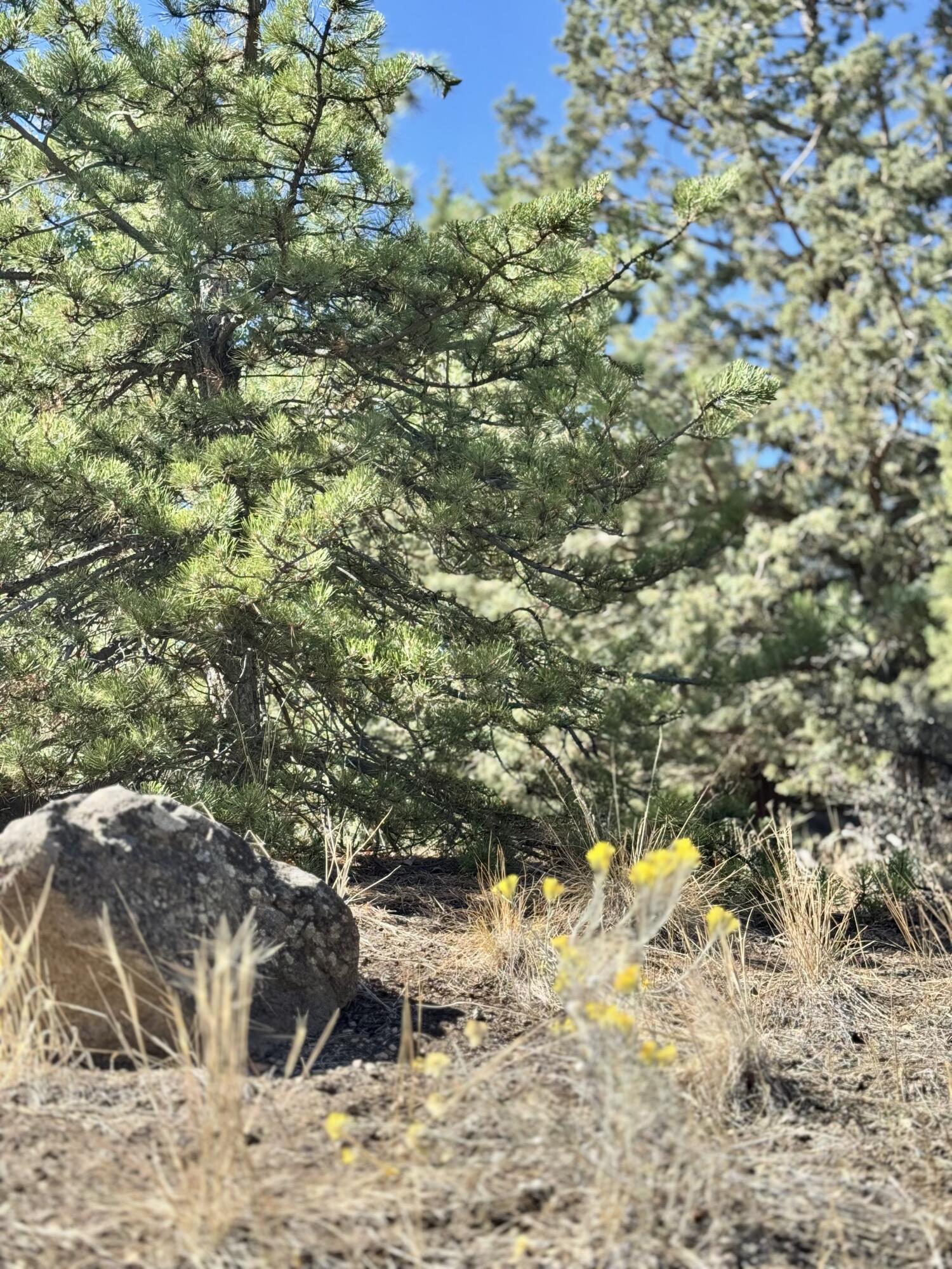 SW 34th Court Lot #62