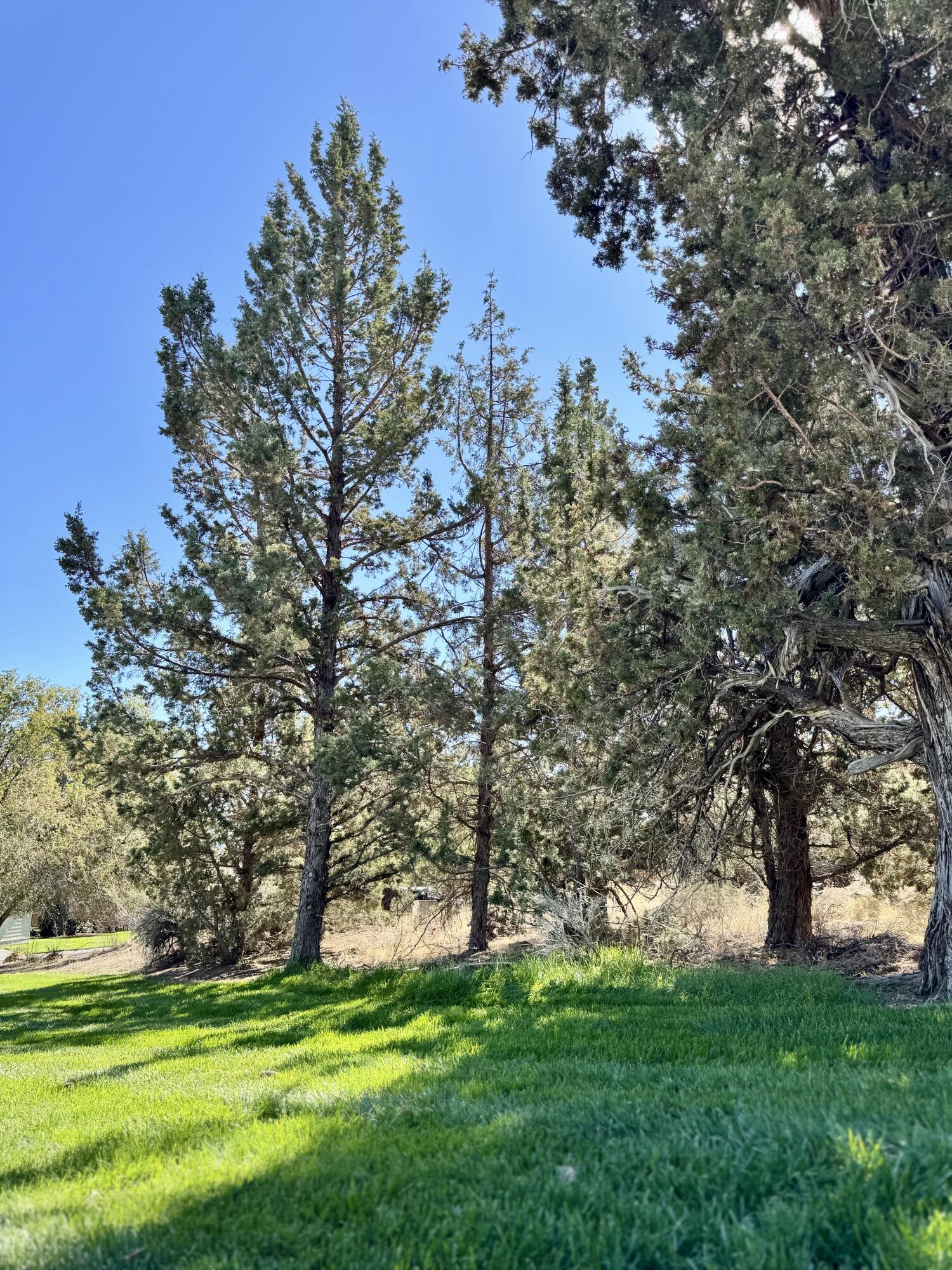 SW 34th Court Lot #62