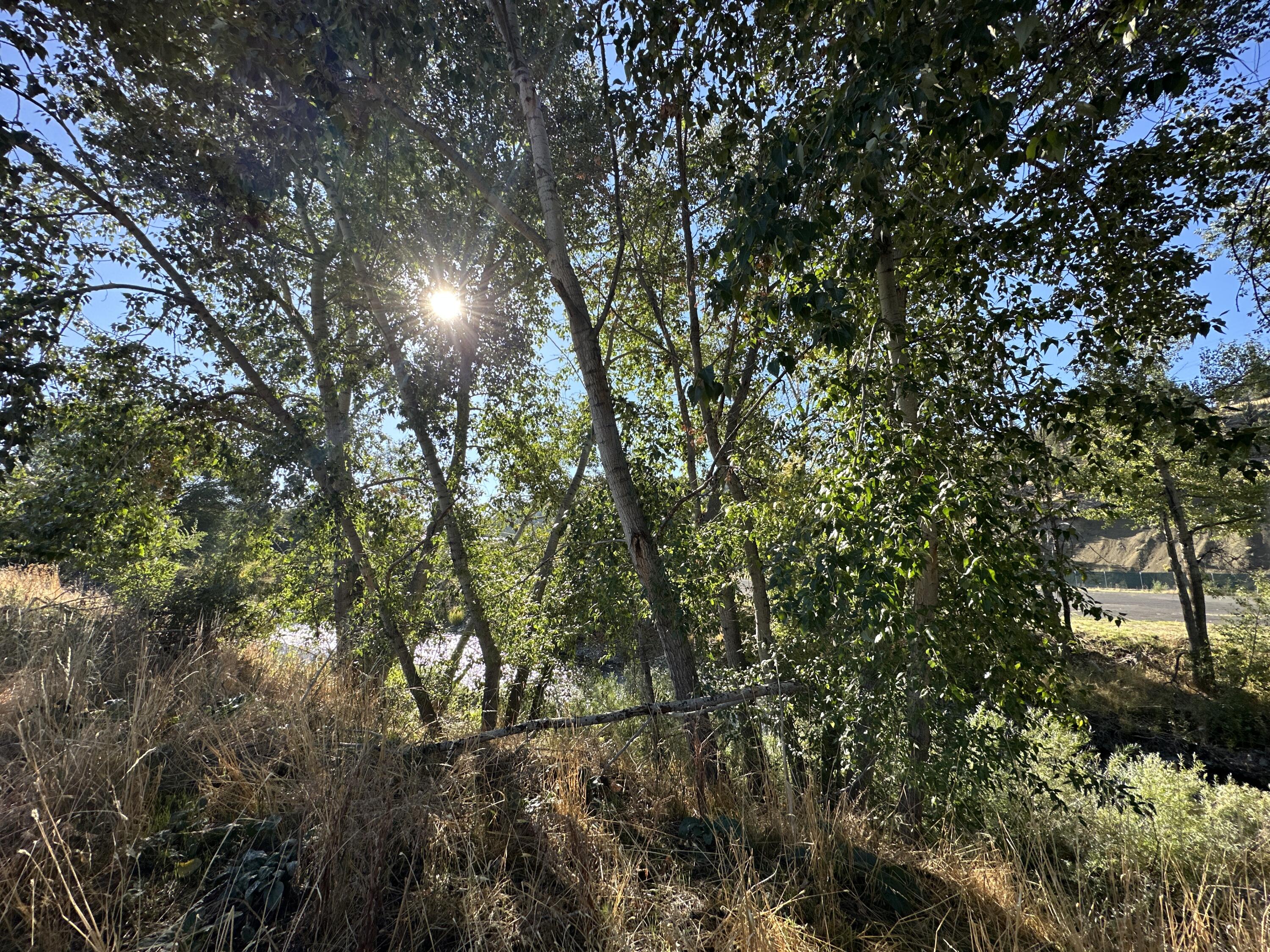 N/A - Commercial Sale