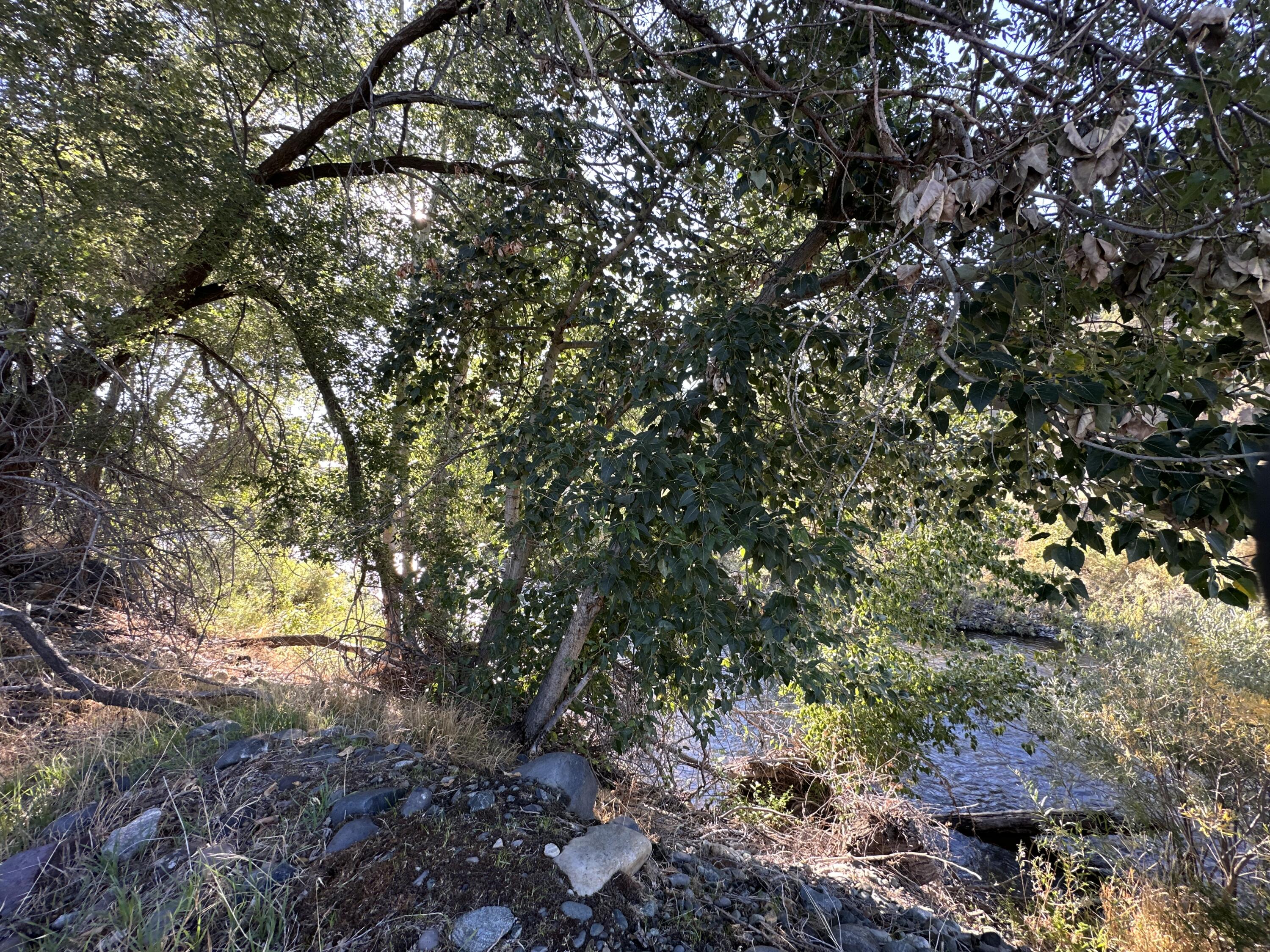 N/A - Commercial Sale