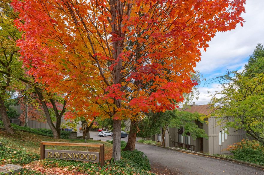 Ravenwood, a jewel in the heart of Ashland. Partially furnished two bedroom/two bathroom located in a highly desirable location. Close to downtown restaurants, shops, theaters and an amazing maze of trails. This home has been well maintained and tastely decorated with 2 decks, a large master bedroom with vaulted ceiling and an incredible view of Grizzly Peak, wood burning fireplace in living room. A second bedroom or office is located off the Vista street entrance. New flooring, paint, upgraded electrical panel and all appliances stay. Seasonal pool.  Next to the pool is a private gated walkway that leads to Downtown, only 2 blocks away.  Ravenwood is a wonderful community with friendly neighbors.