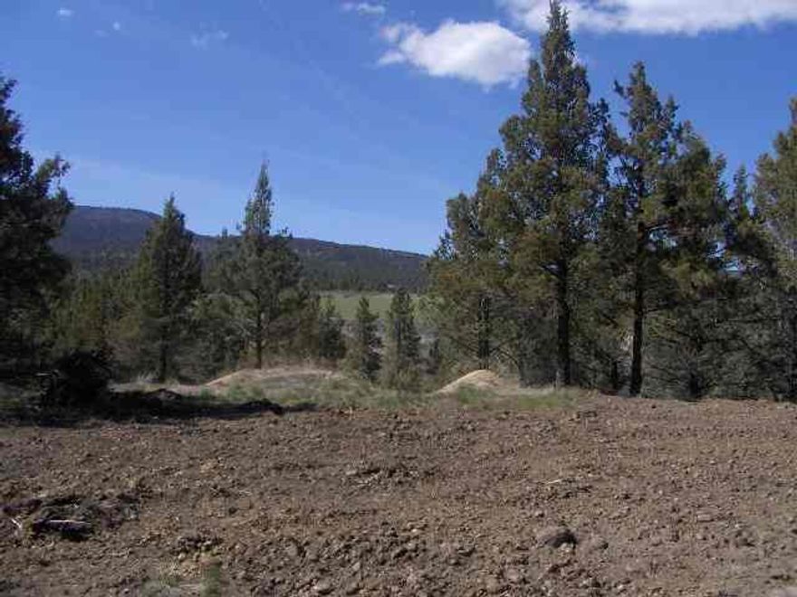 Interior 20 Acres 20% Tree Covered View Of Valley And Mountians Also Shasta. Well In, Septic In Needs To Be Re-permitted.