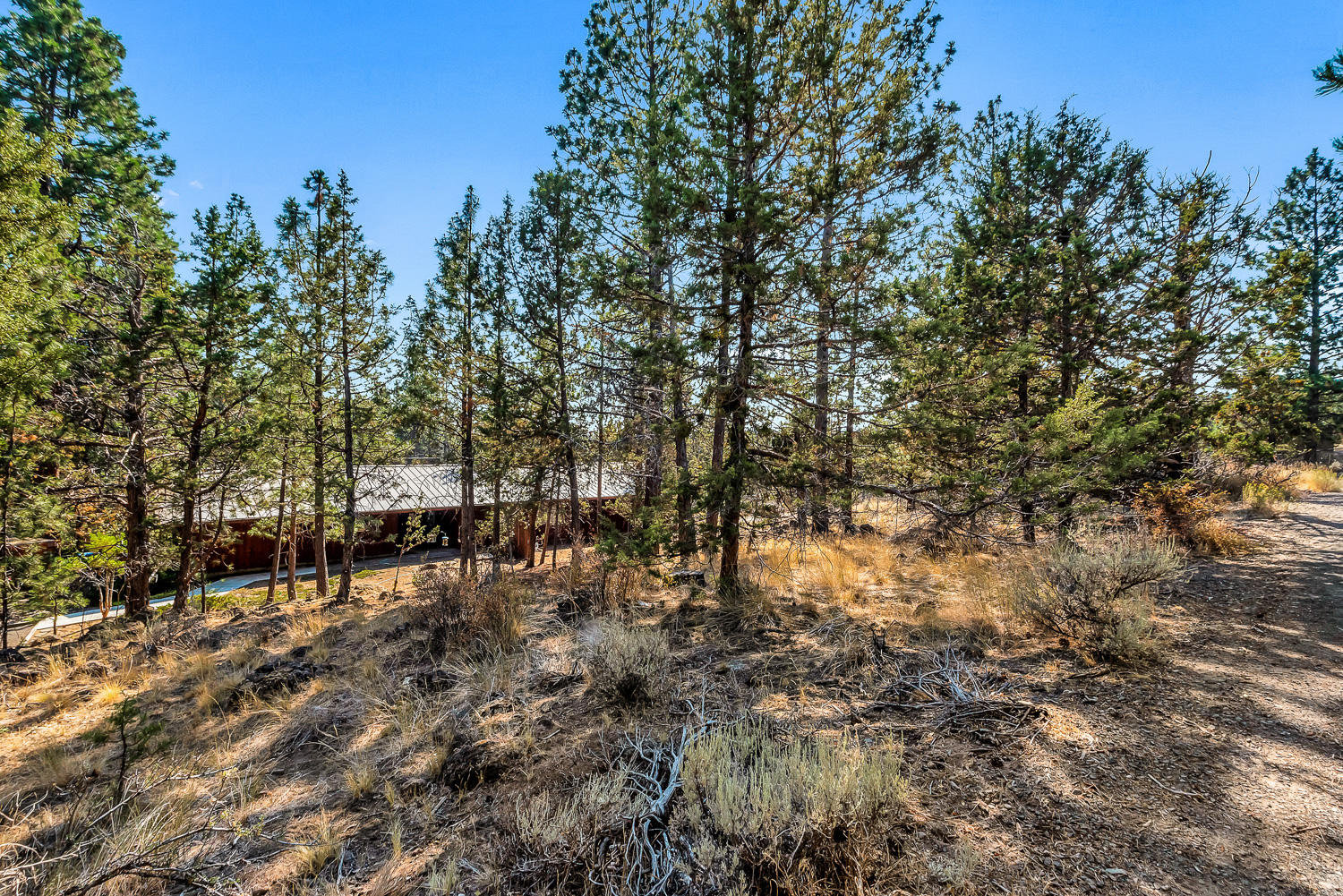 Bend View - Residential