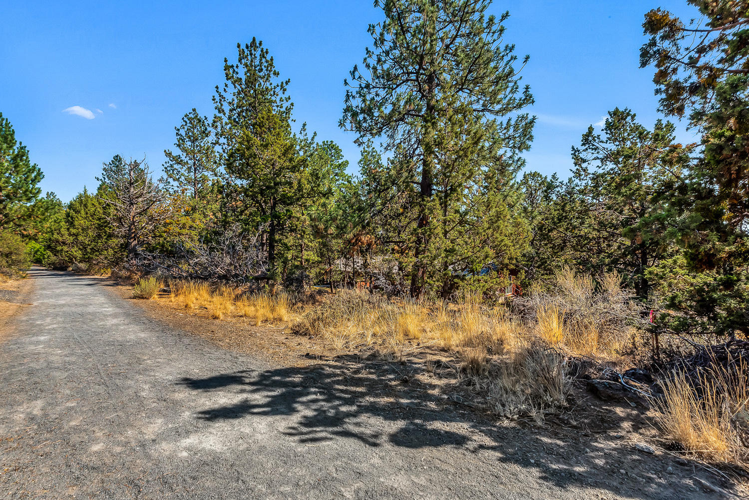 Bend View - Residential