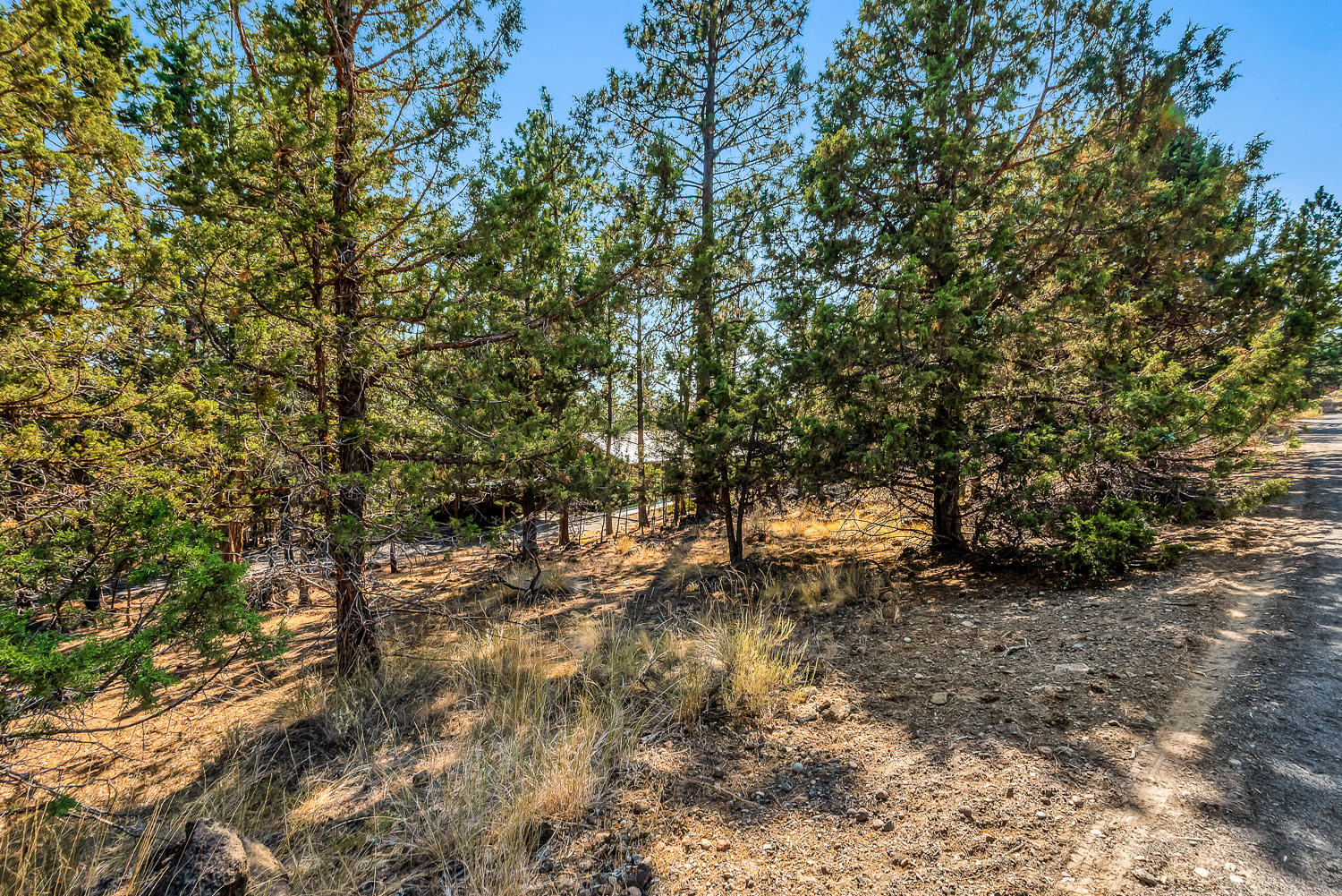 Bend View - Residential