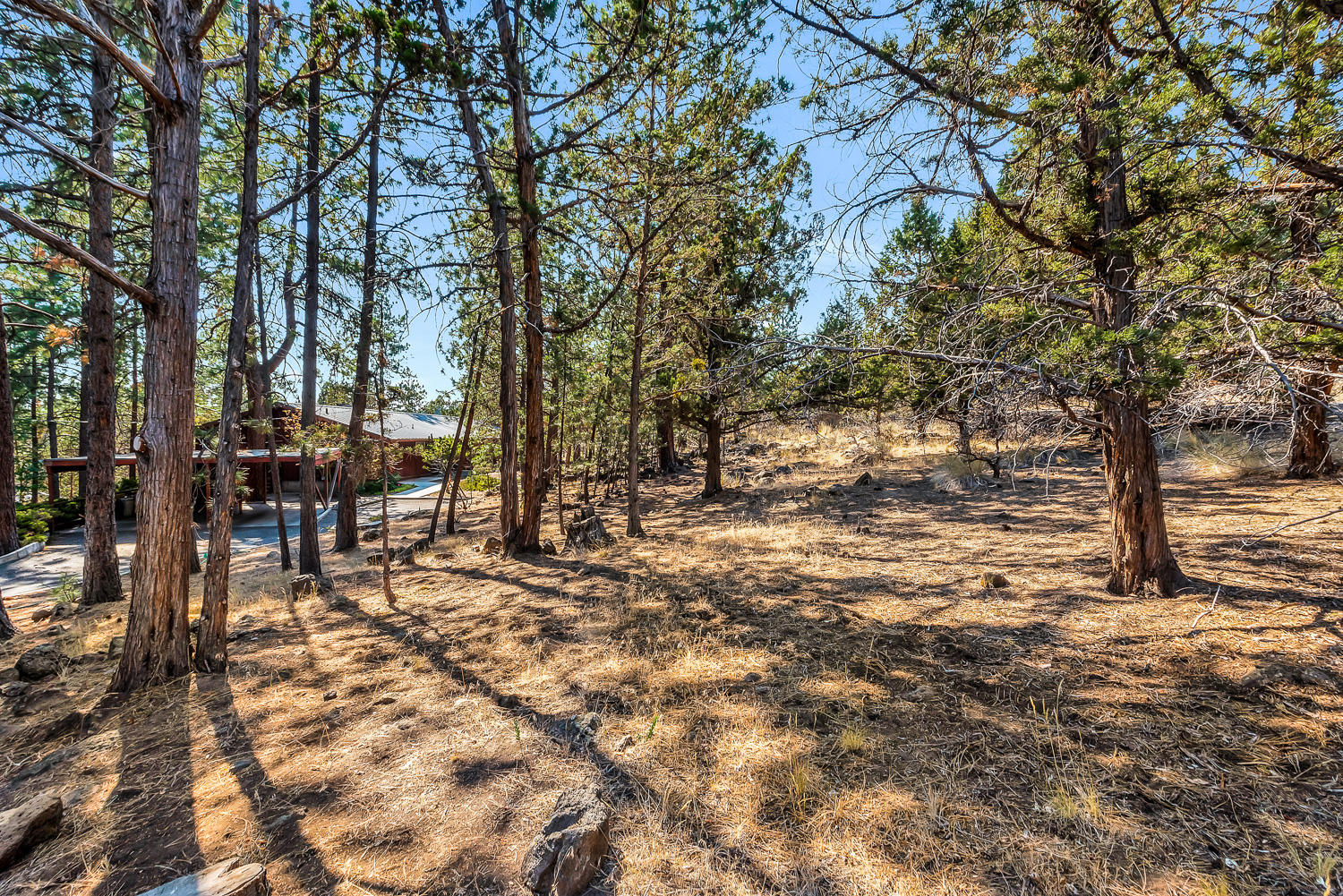Bend View - Residential