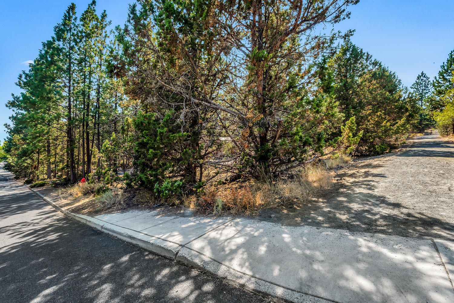 Bend View - Residential