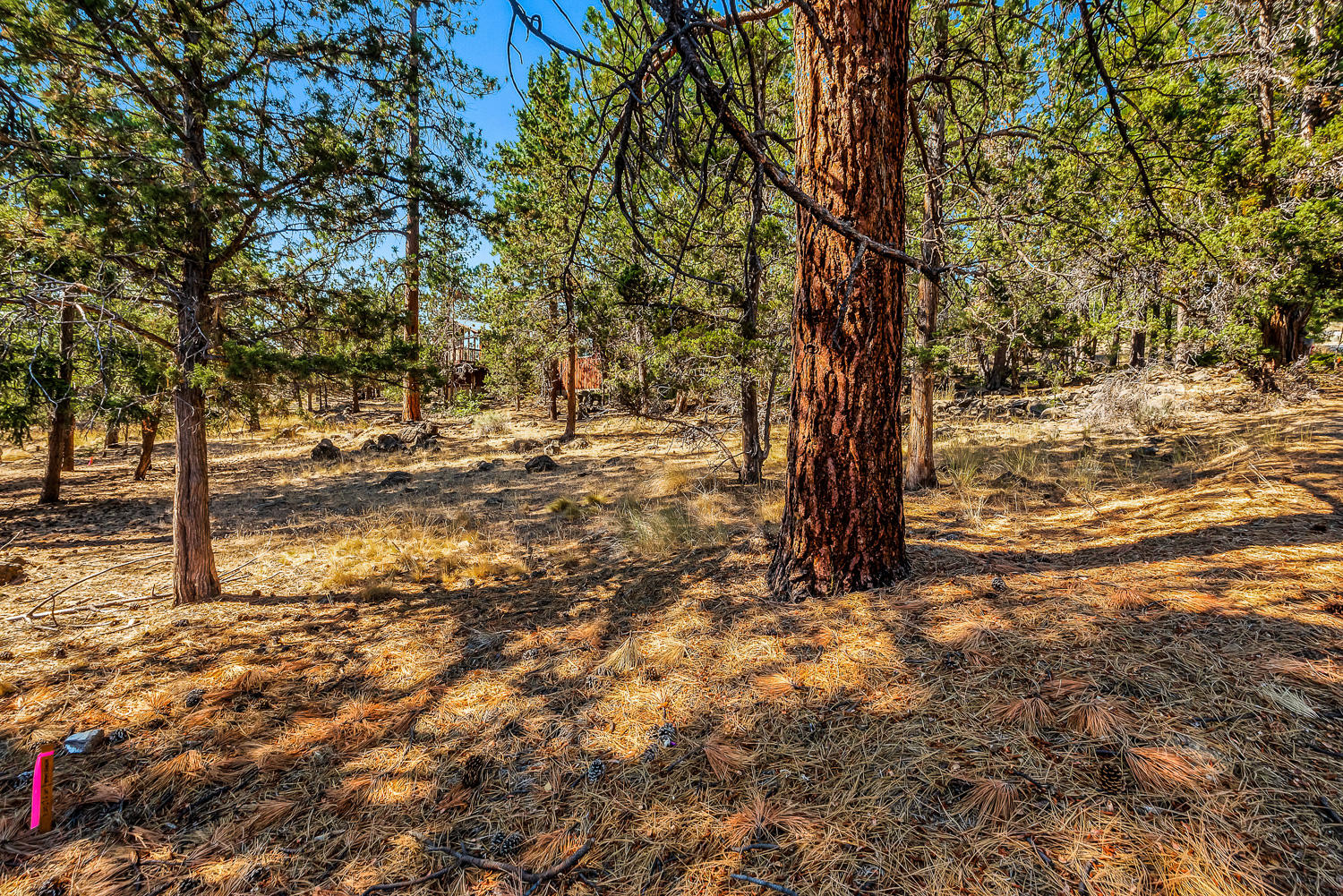 Bend View - Residential